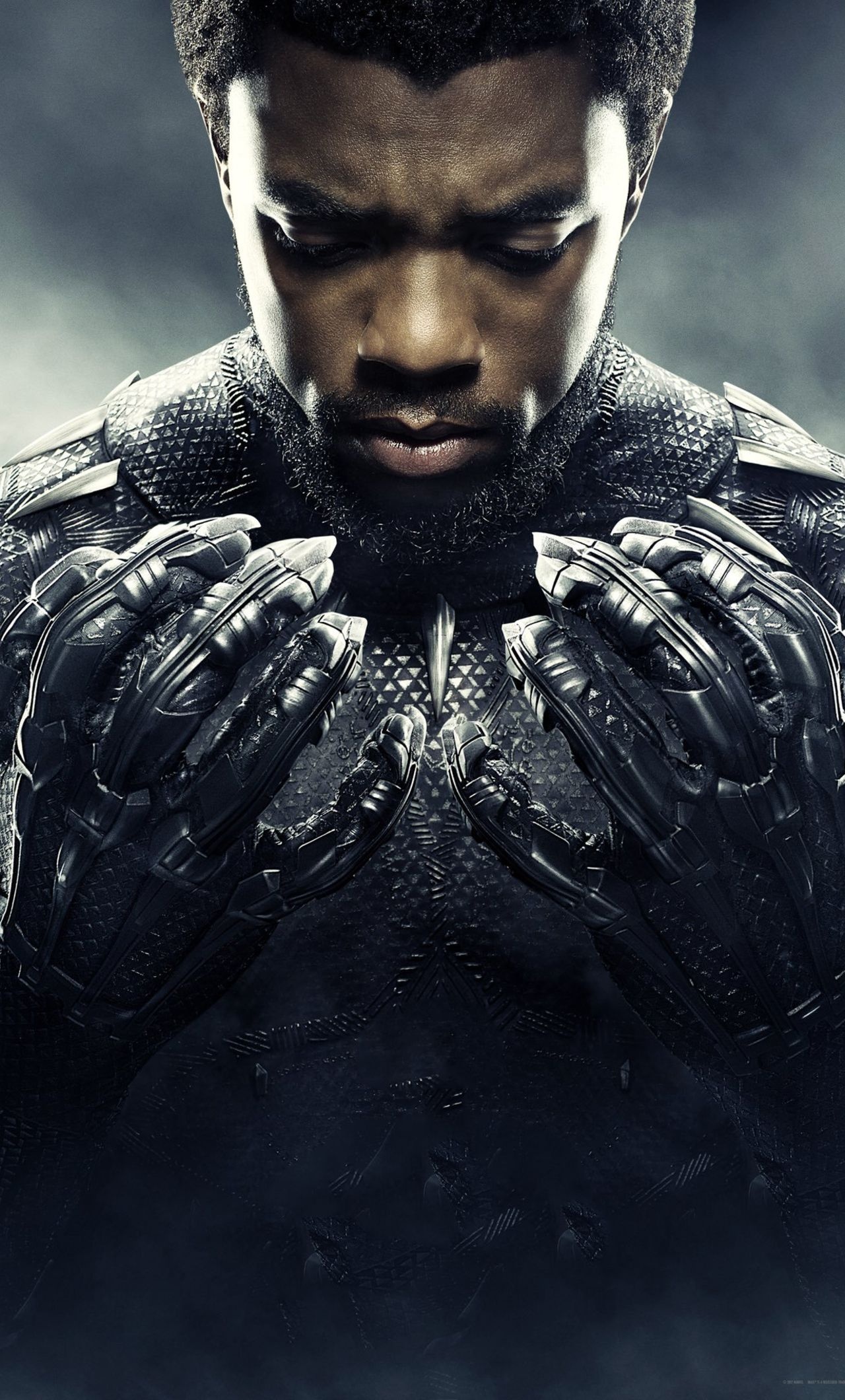 T'Challa, Chadwick Boseman, Marvel, Actor, 1280x2120 HD Phone