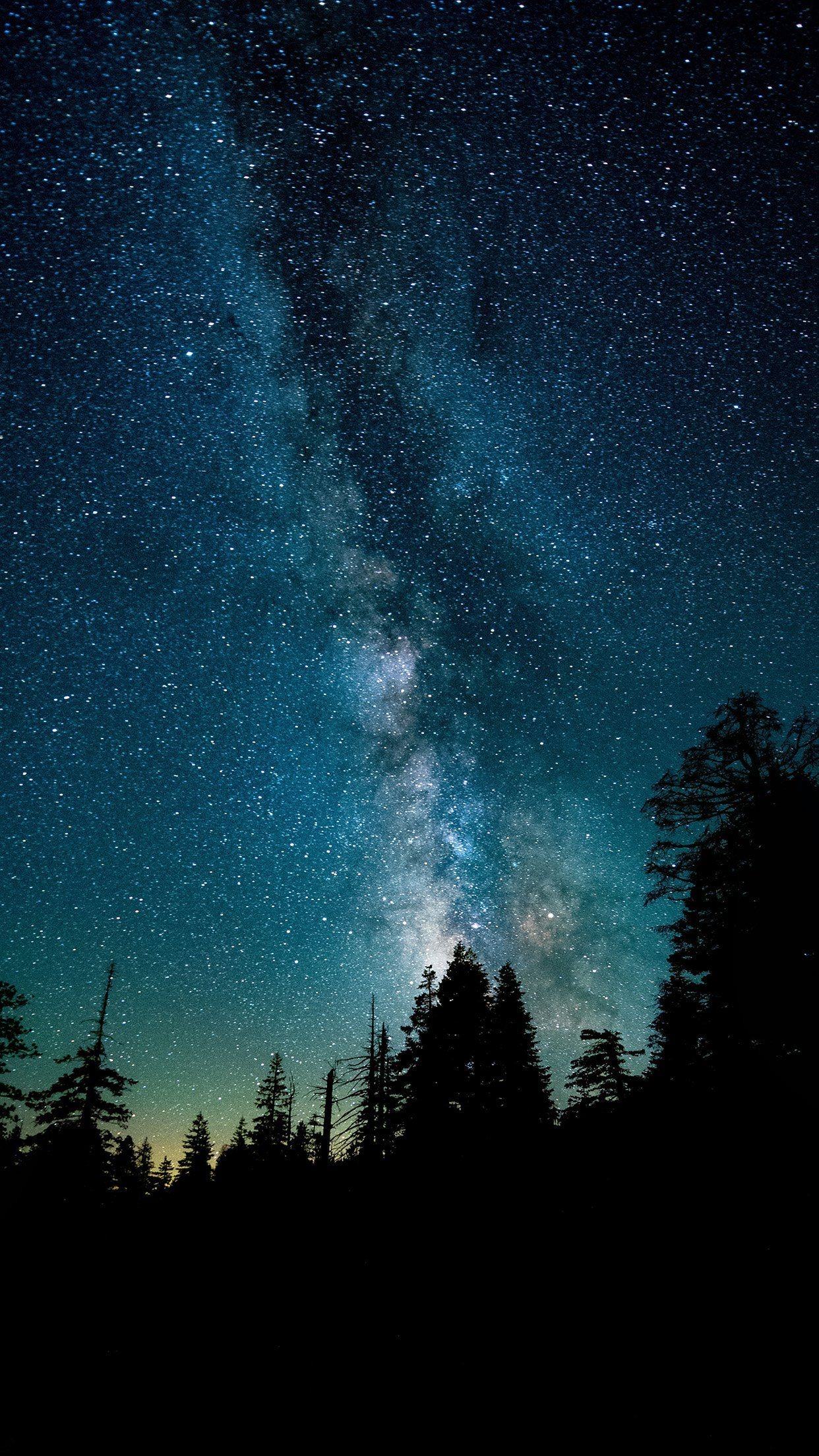 Milky Way galaxy, coniferous tree silhouette, starry night sky, HD Phone wallpaper