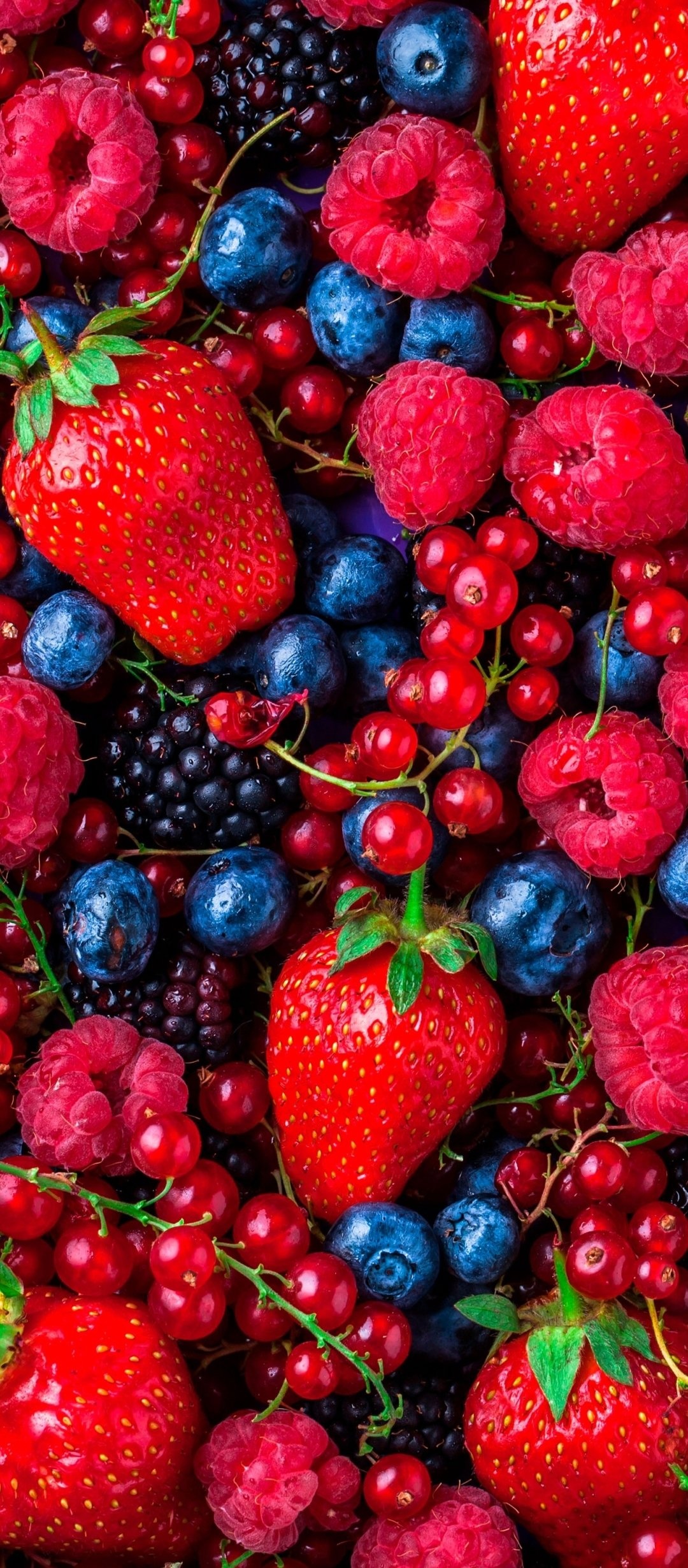 Food, Berry, Wallpaper,, 1080x2460 HD Phone