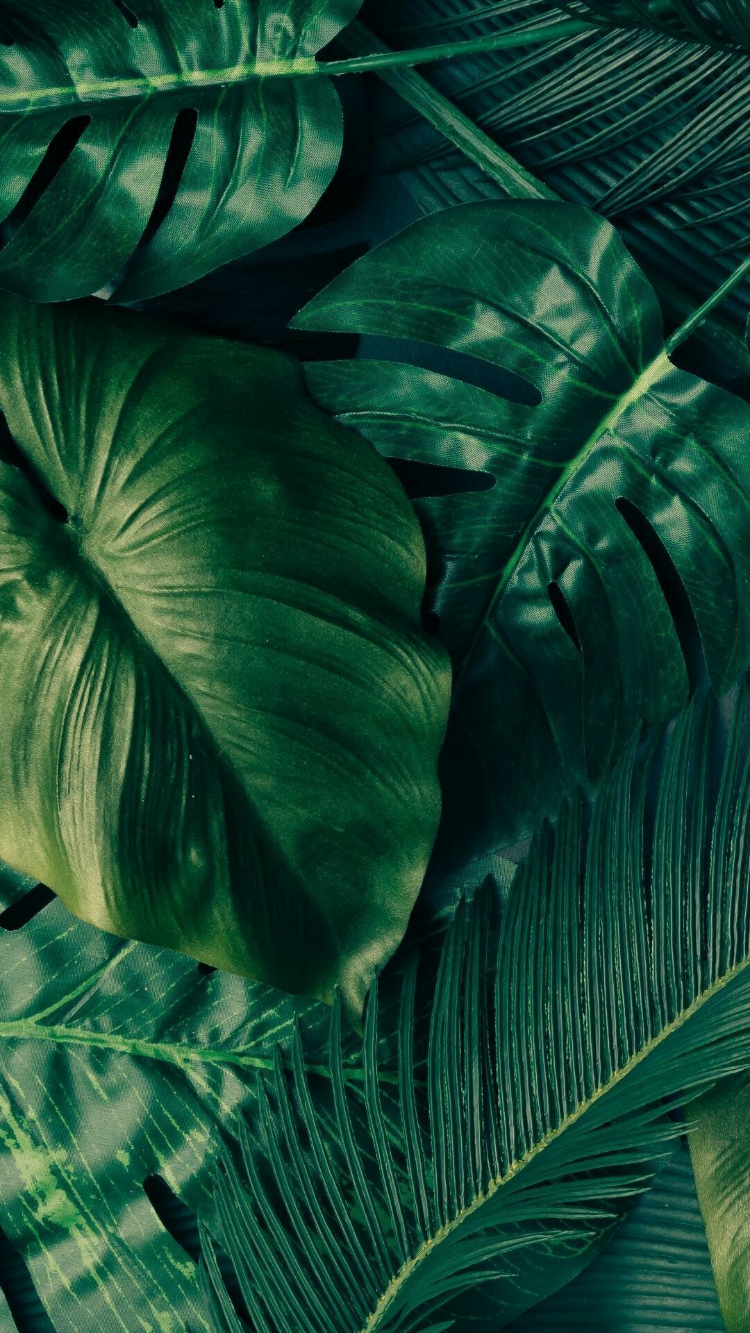 Tropical leaf wallpapers, Vibrant foliage, Exotic plants, Paradise vibes, 1080x1920 Full HD Phone