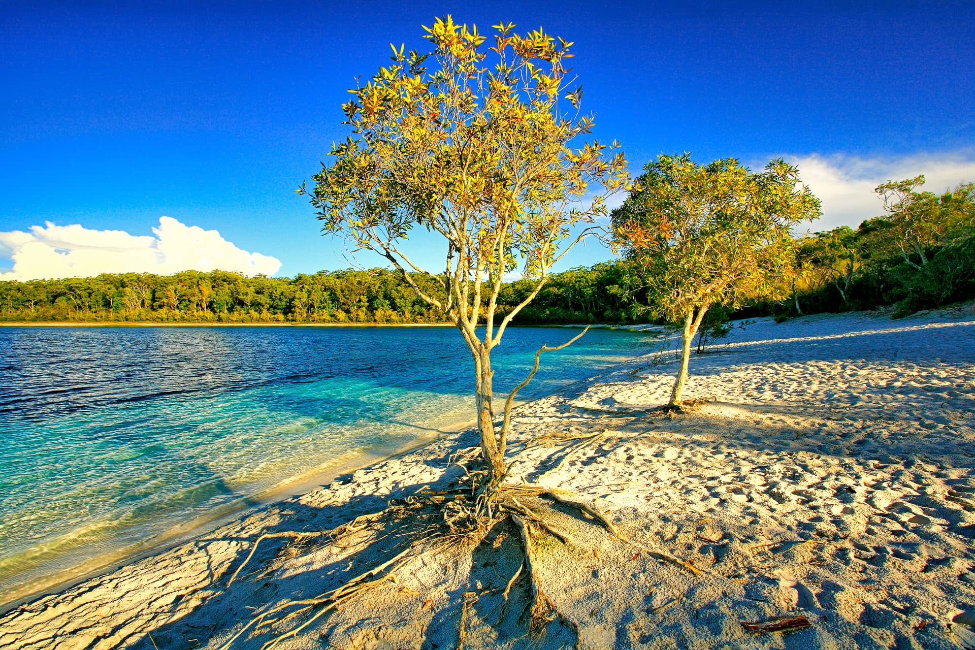 Rivers lakes Dennis, Harding, Travels, Fraser Island, 1920x1280 HD Desktop