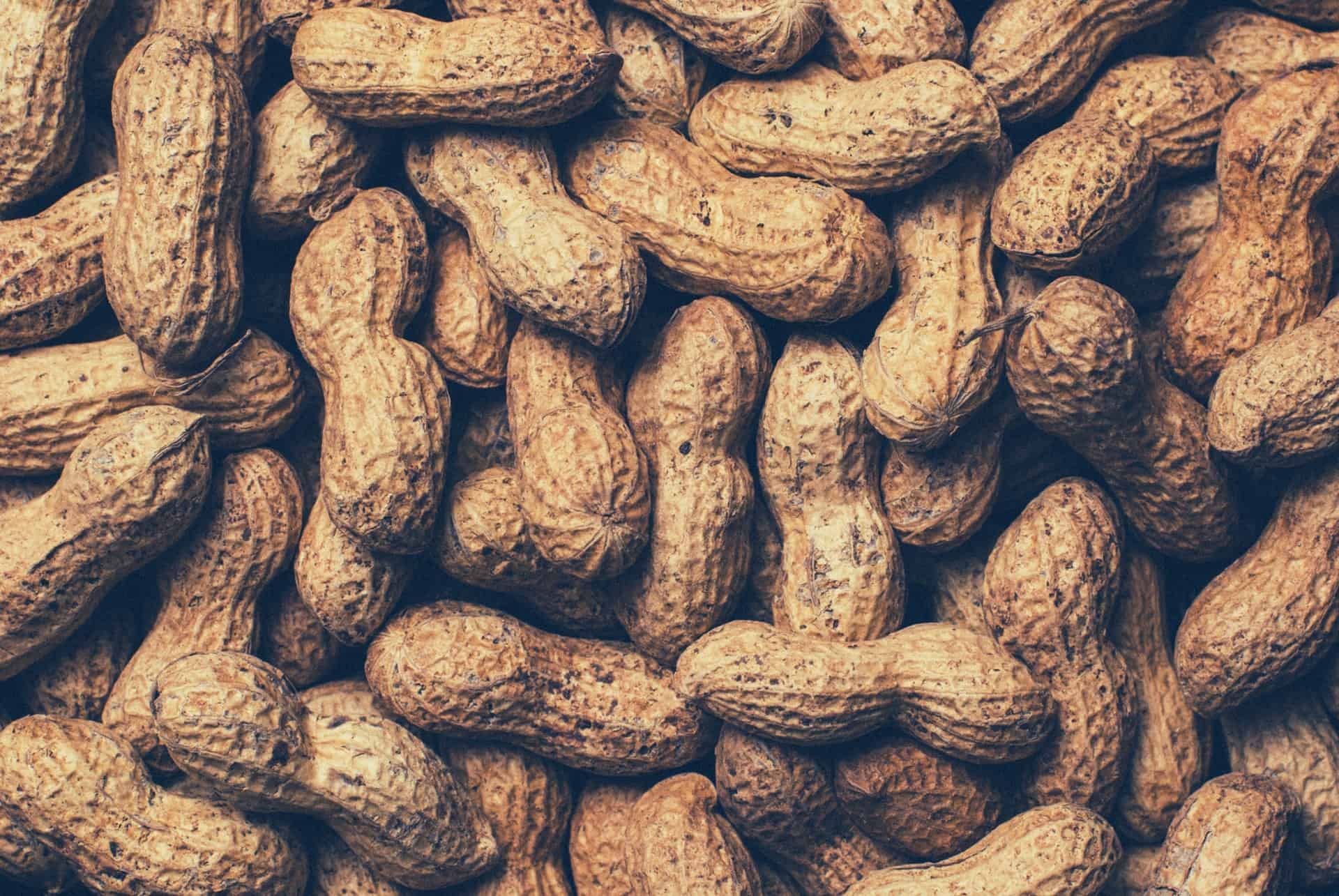 Peanuts (Food), Acne concerns, Breakout triggers, Skin care questions, 1920x1290 HD Desktop