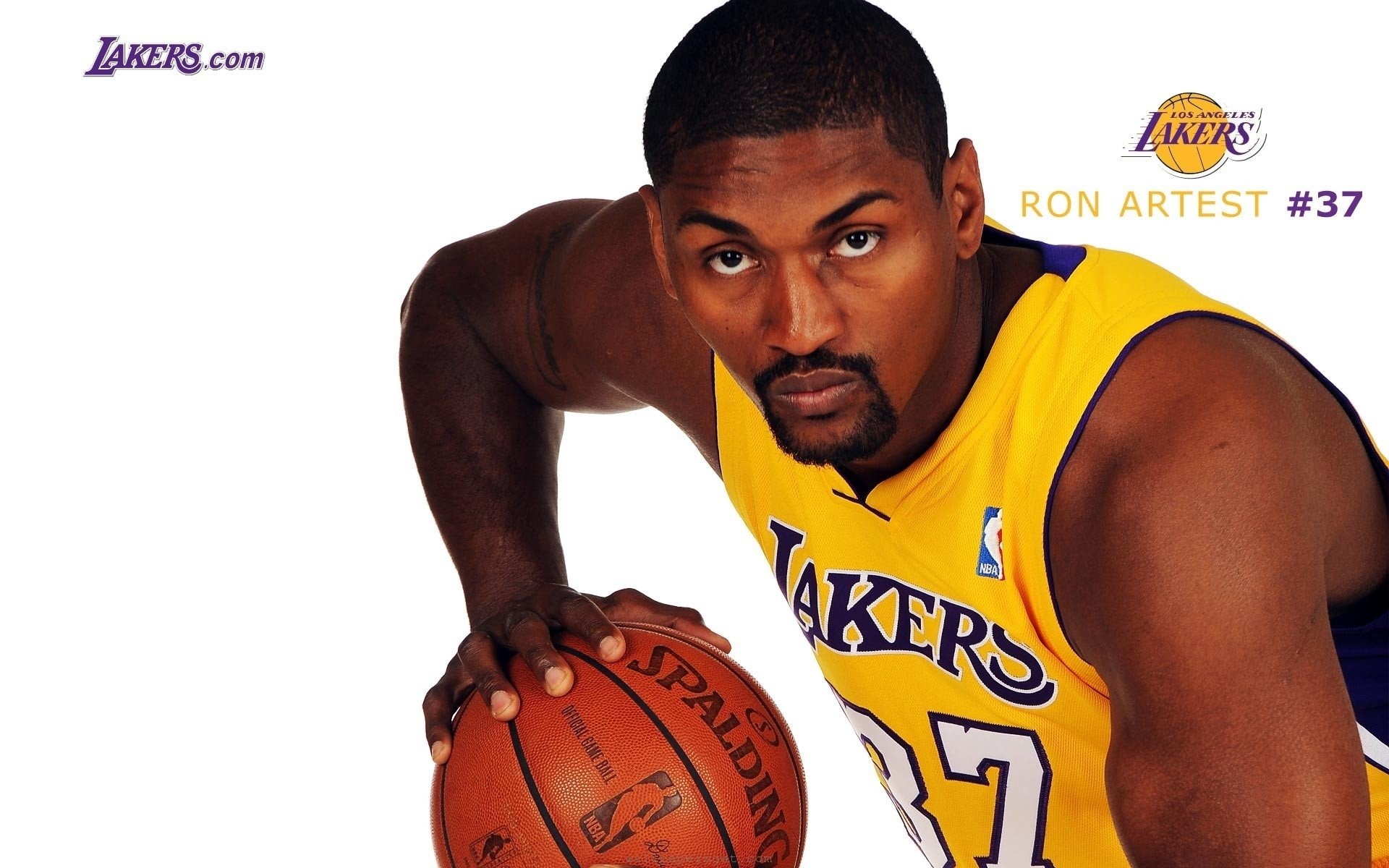 Ron Artest, Los Angeles Lakers Wallpaper, 1920x1200 HD Desktop
