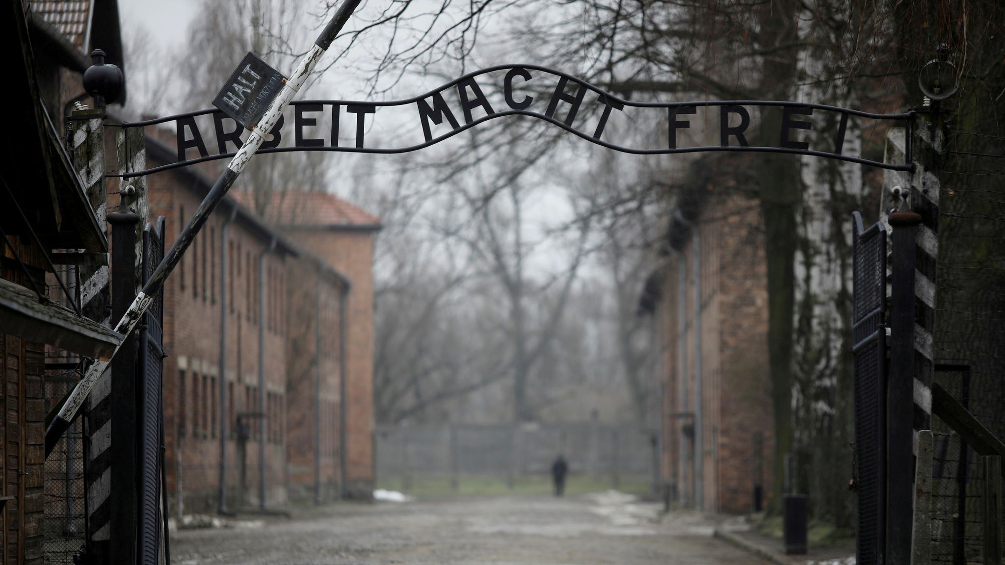 Auschwitz backgrounds, Reflections of history, Remembrance, Captivating visuals, 2050x1160 HD Desktop