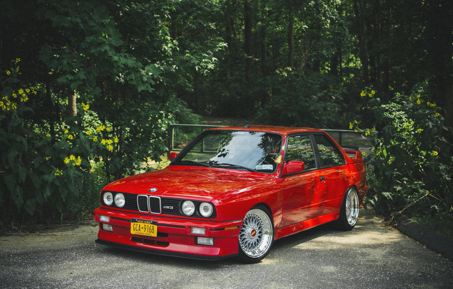 red BMW E30 M3, BBS RS wheels, lush green foliage, HD Desktop wallpaper