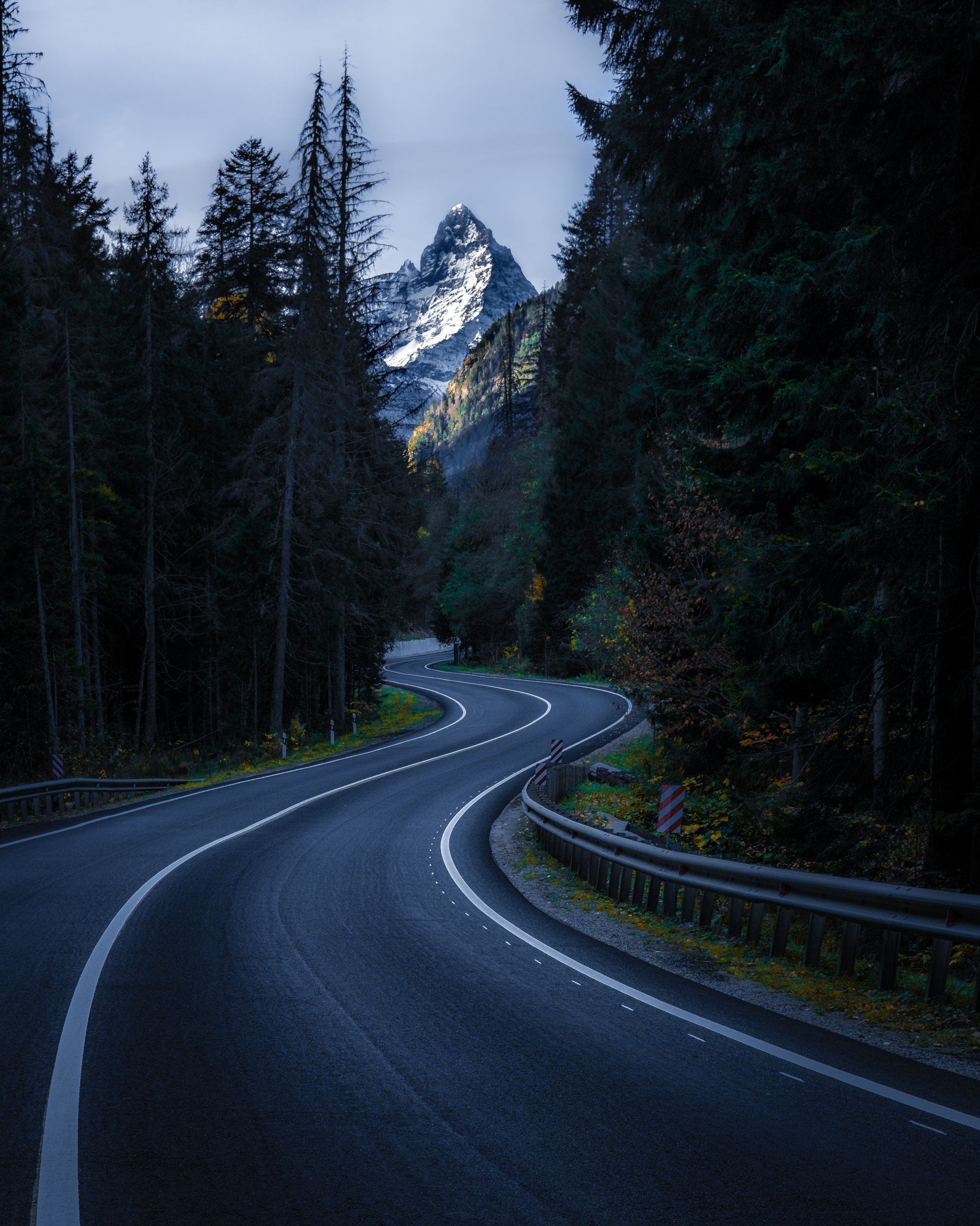 winding asphalt mountain road, snow-capped mountain peak, dense coniferous pine forest, HD Phone wallpaper
