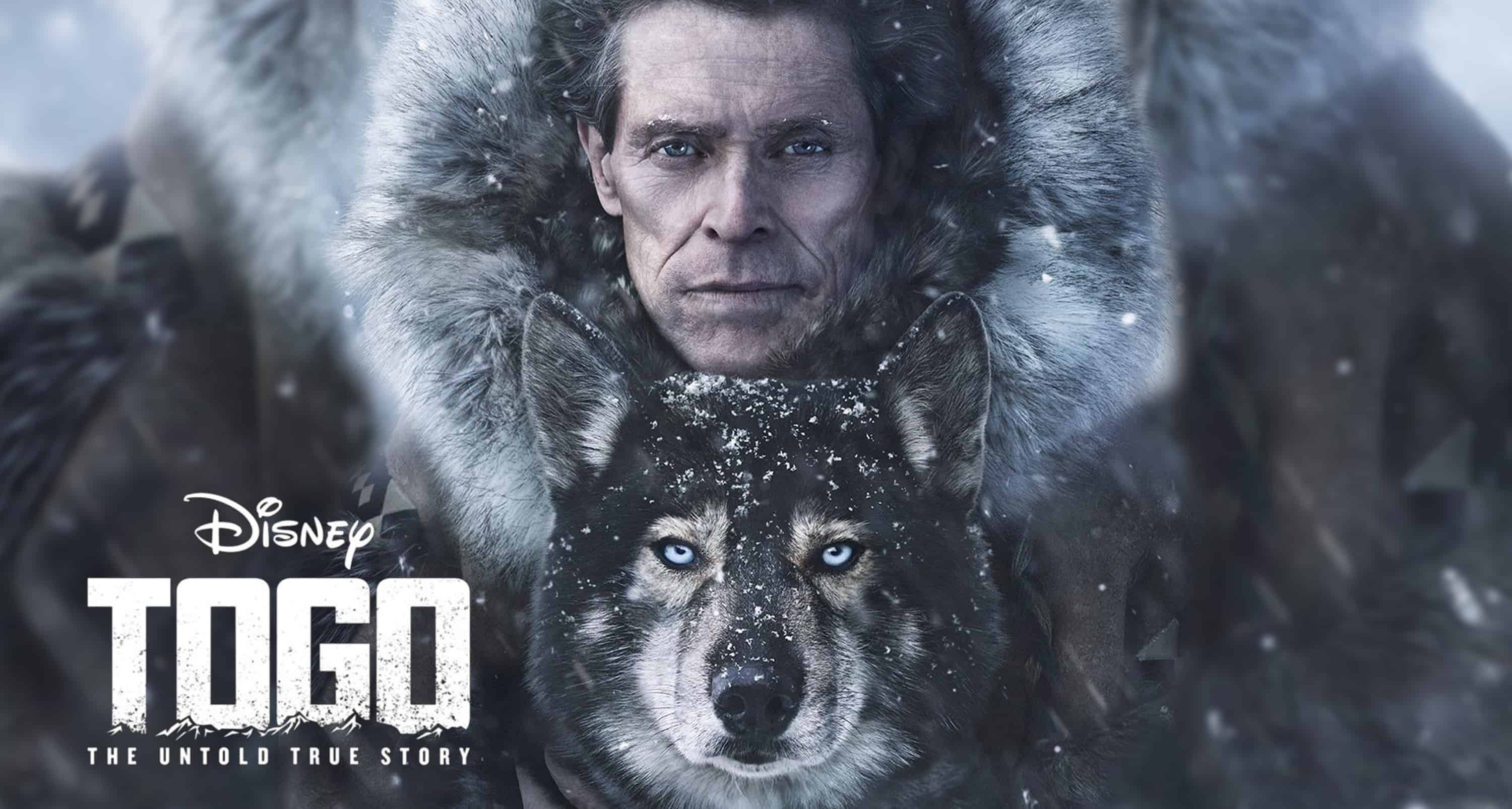 Togo movie italiano, Del film di, Il trailer italiano, Togo ecco il, 3000x1610 HD Desktop