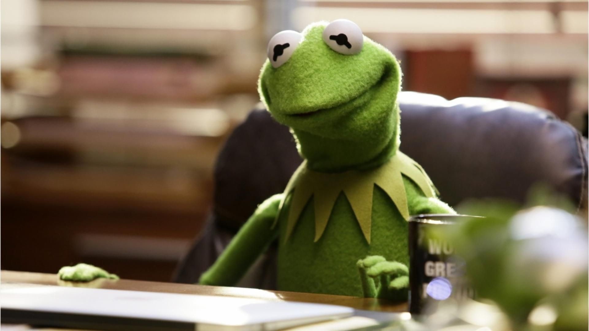 Kermit the Frog wallpaper, Playful charm, Animated icon, Desktop delight, 1920x1080 Full HD Desktop