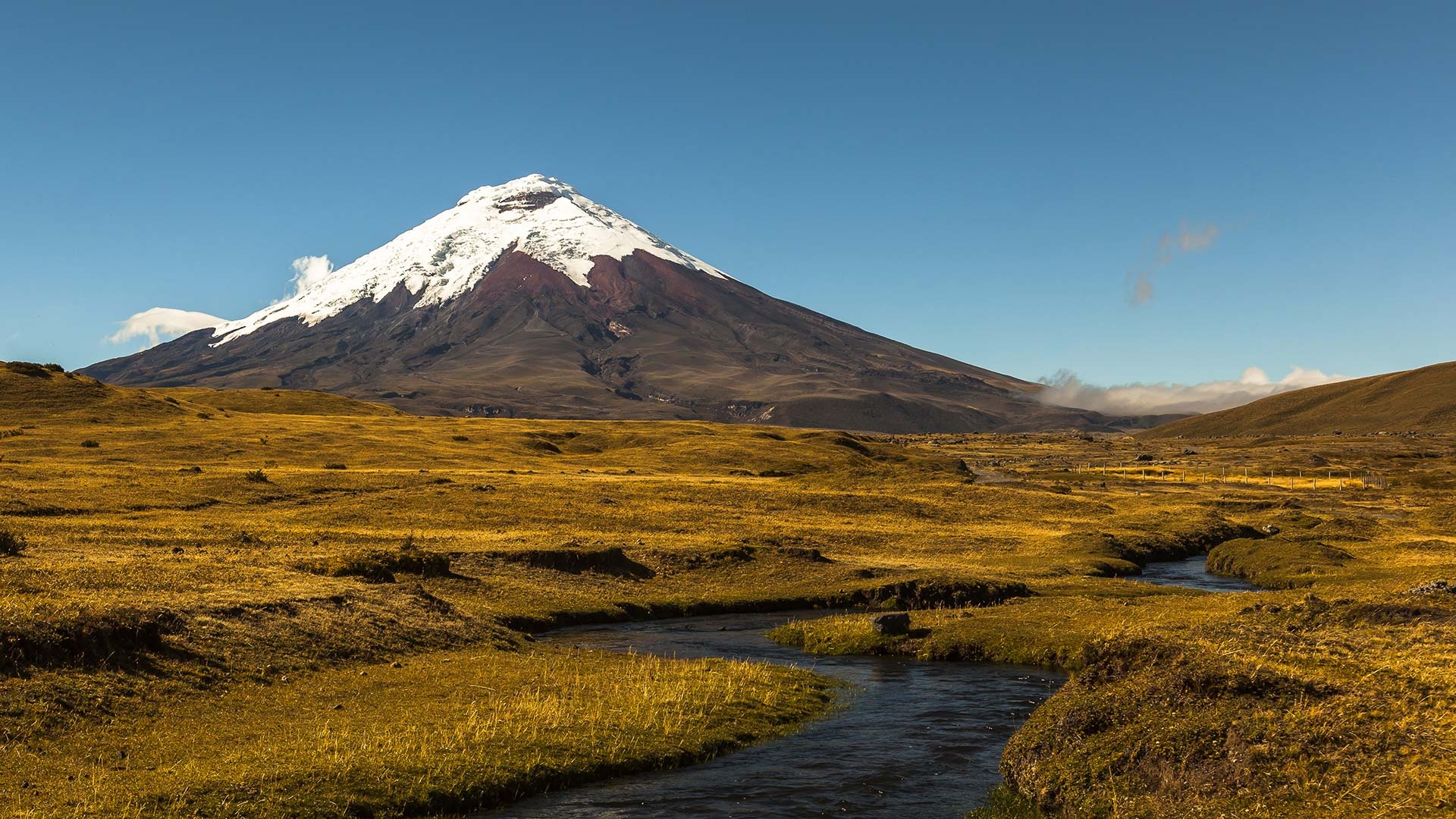 Cotopaxi & Saquisili, Daytour, Llullu Llama, 1920x1080 Full HD Desktop