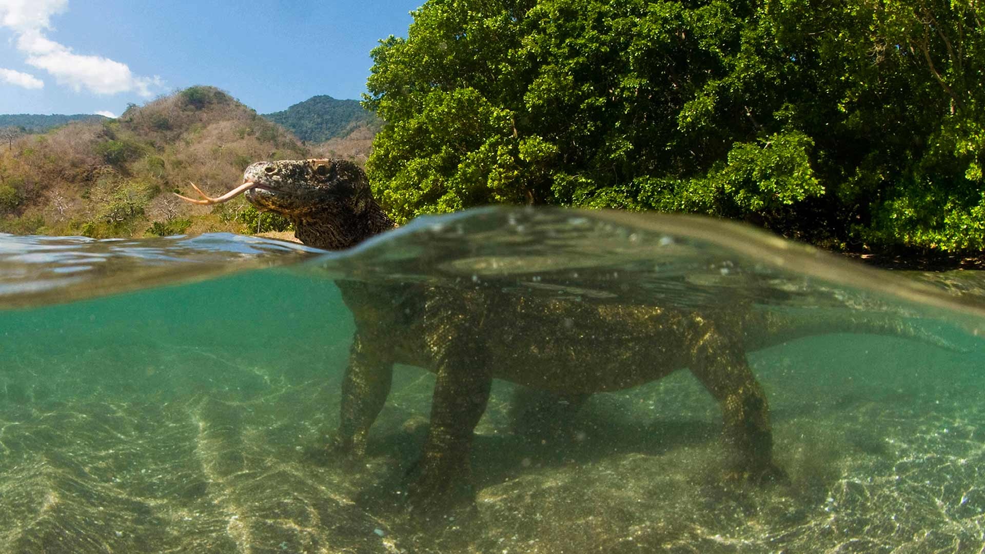 Komodo Island, Closing down, Cond Nast Traveller, Indonesia, 1920x1080 Full HD Desktop