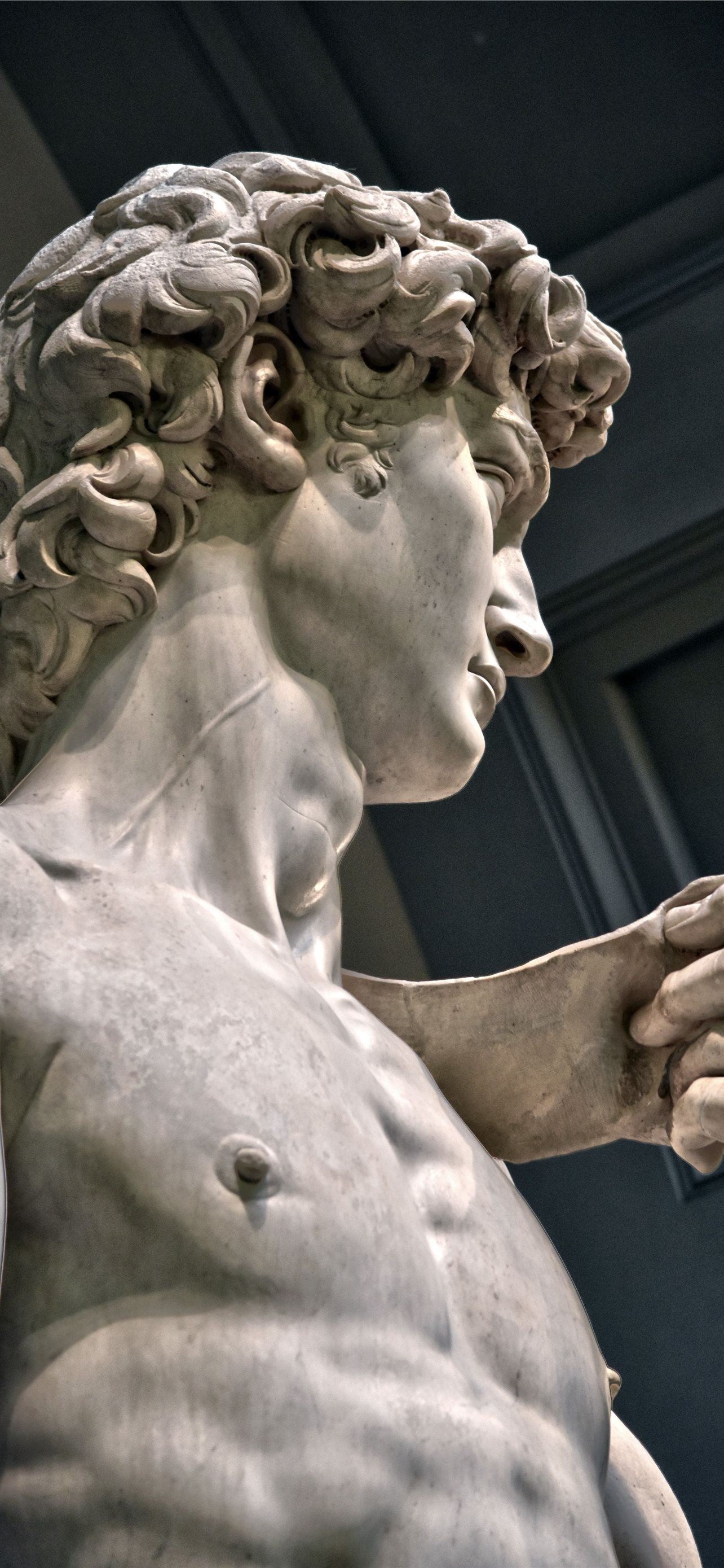 Michelangelo, iPhone HD wallpapers, Best, 1290x2780 HD Phone