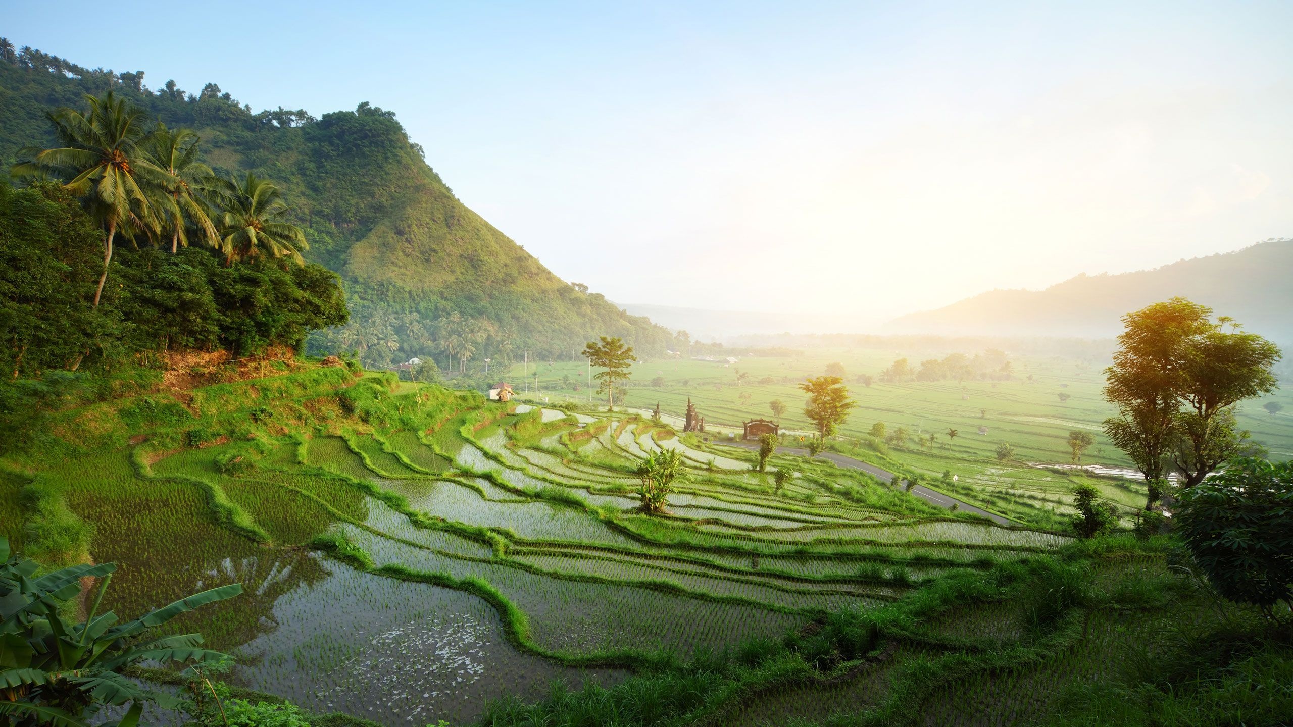 Bali, Ubud's charm, Cultural hub, Ubud's renowned beauty, 2560x1440 HD Desktop