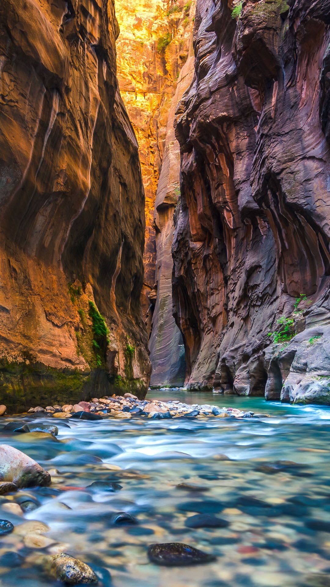 Virgin River, Riwawarrows, Narrows Zion Park, Pictures, 1080x1920 Full HD Phone