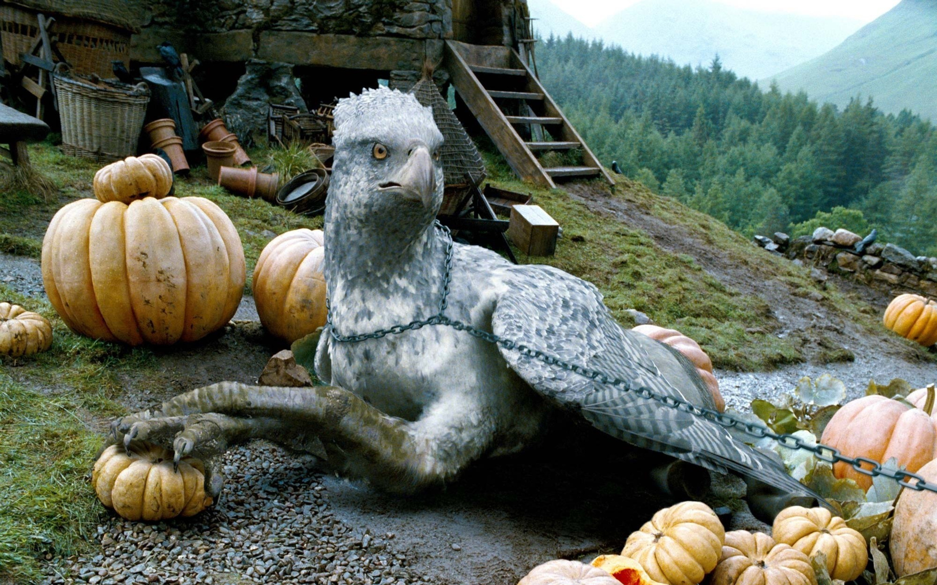 Buckbeak, Saving two lives, 1920x1200 HD Desktop