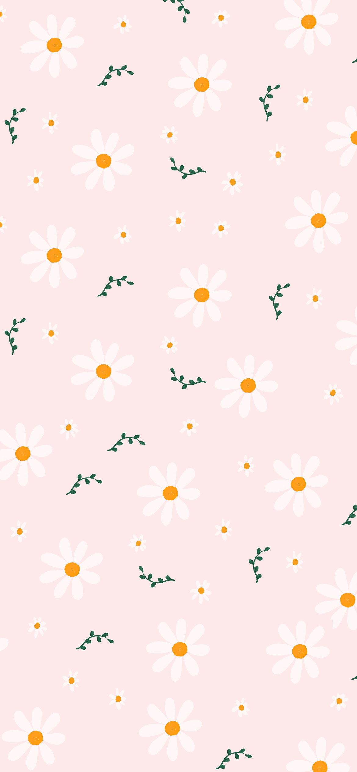 Daisies, Cute Pink Wallpaper, 1170x2540 HD Phone