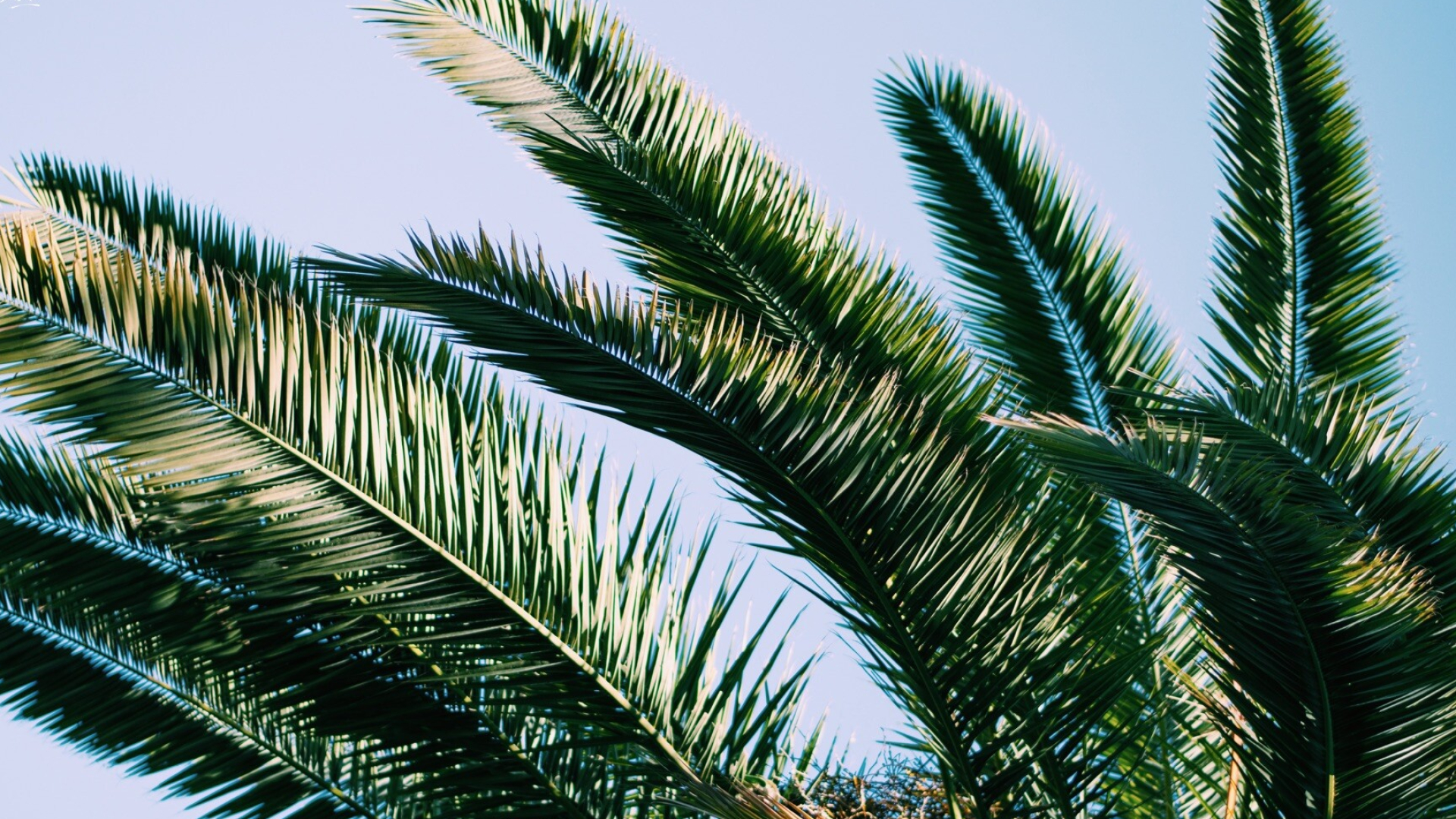 Relaxing summer, Fun in the sun, Tropical paradise, Beach vacation, 1920x1080 Full HD Desktop