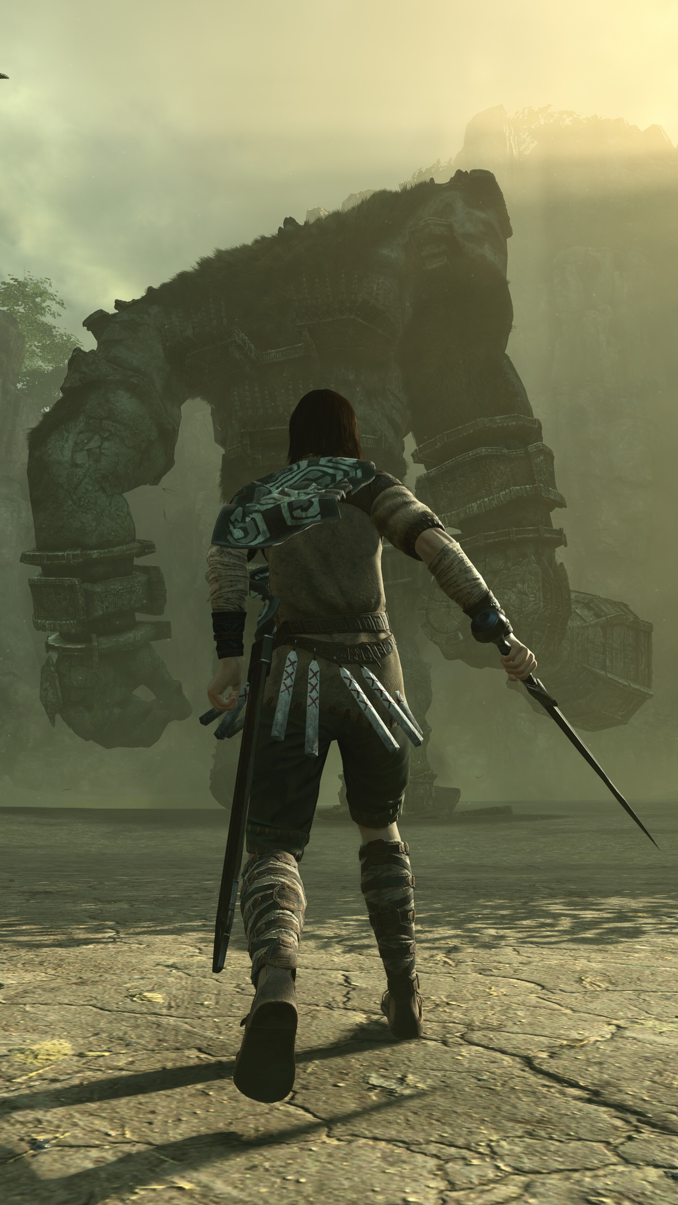 Breathtaking photography, Atmospheric shots, Colossi encounters, Visual marvel, 2160x3840 4K Phone