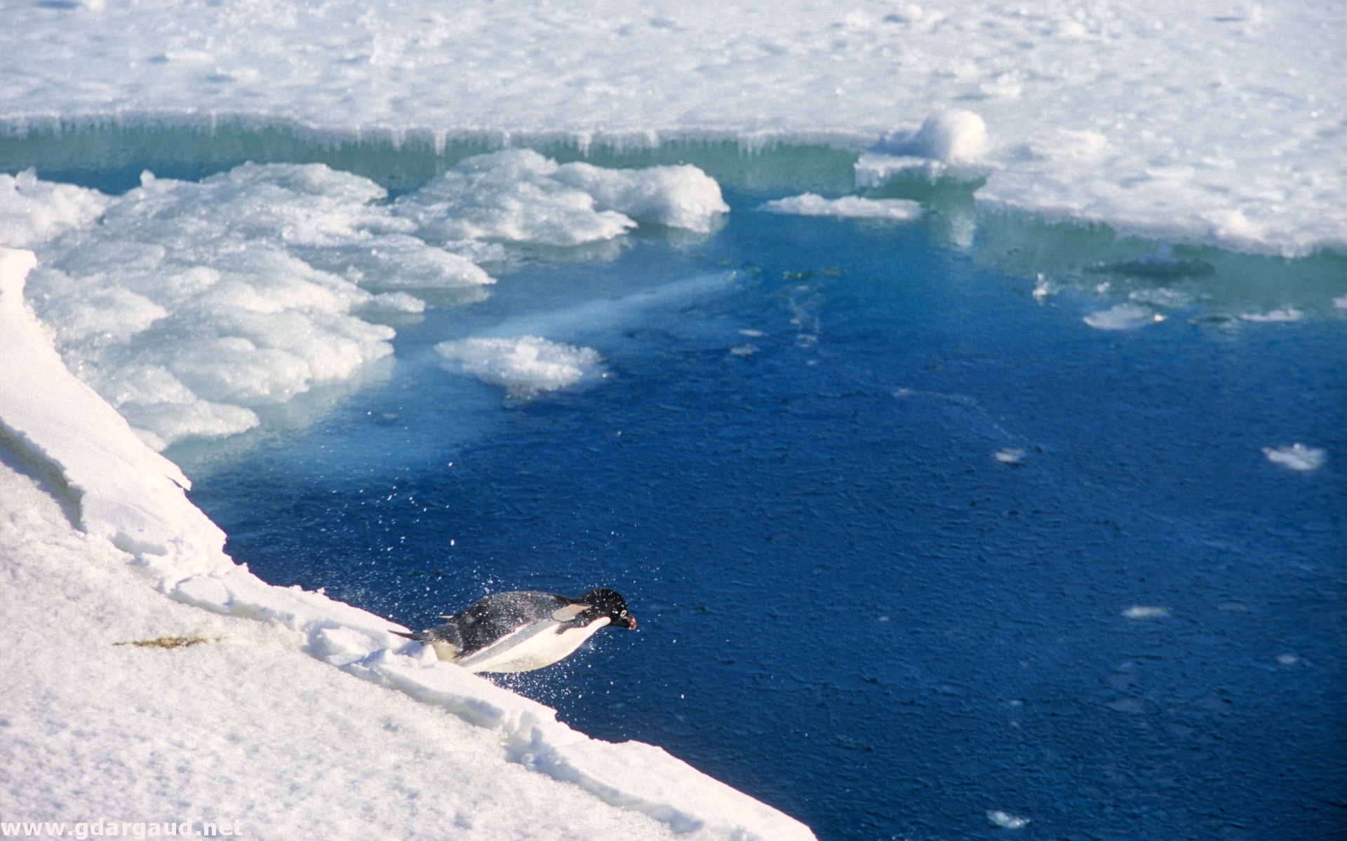 Antarctica, Download, Wallpapers, Images, 1920x1200 HD Desktop