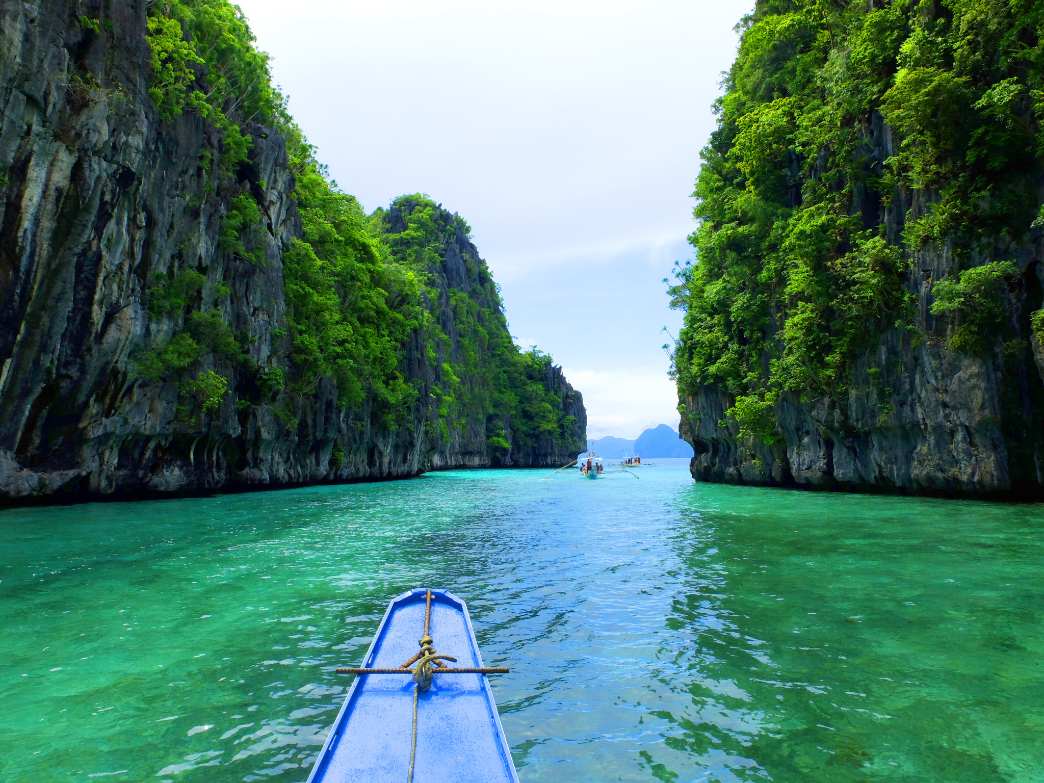 Rich wildlife, Palawan, Philippines, Nature lovers, 2050x1540 HD Desktop