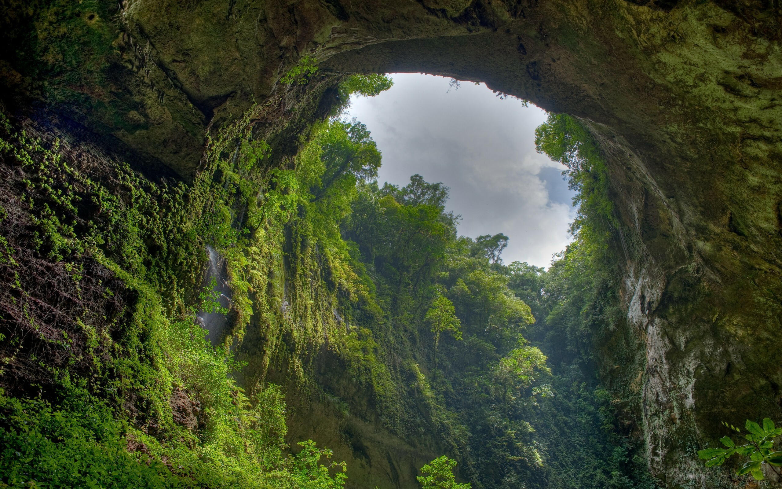 El Yunque, Jungles Wallpaper, 2560x1600 HD Desktop