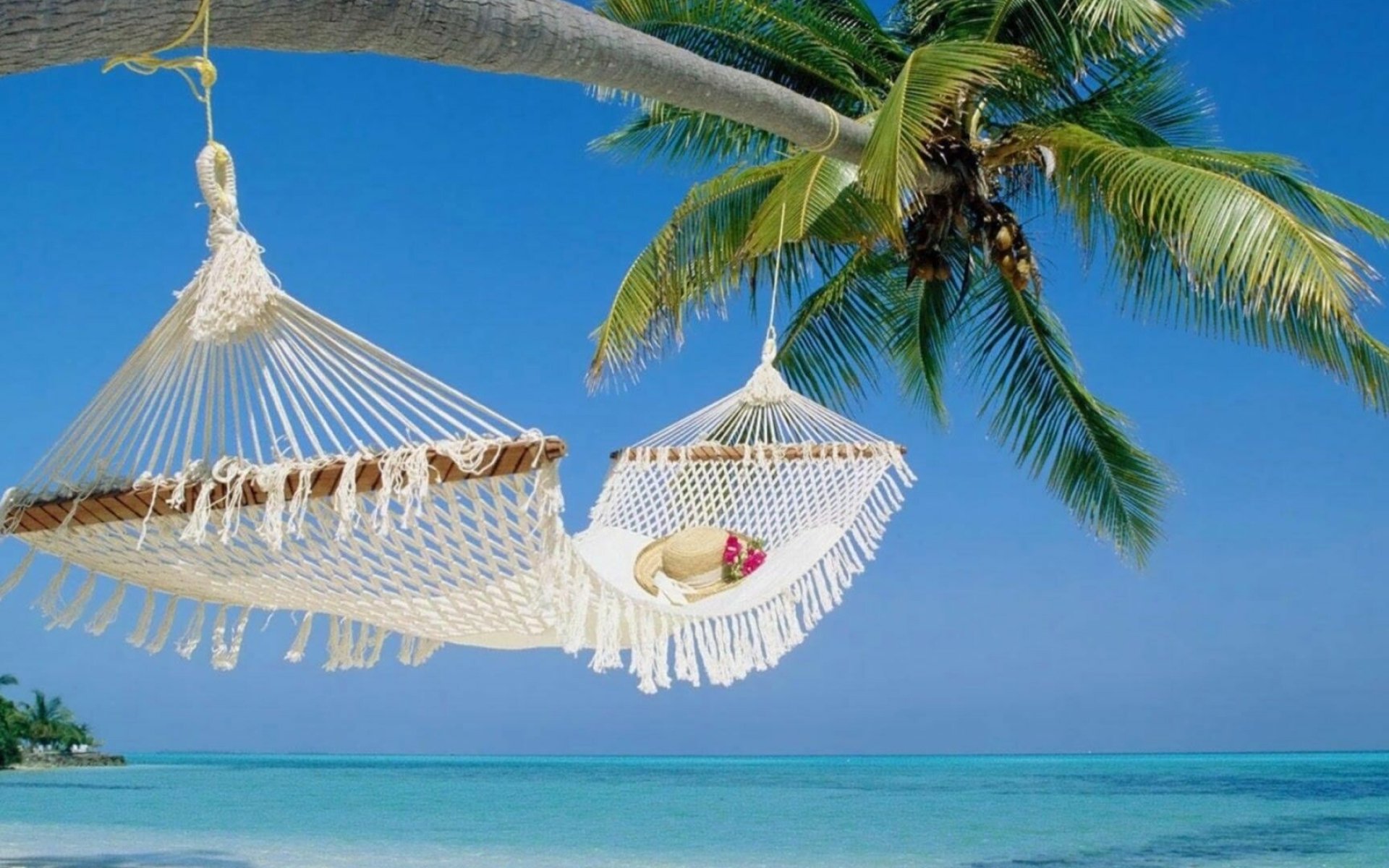 Hammock, Summer Wallpaper, 1920x1200 HD Desktop