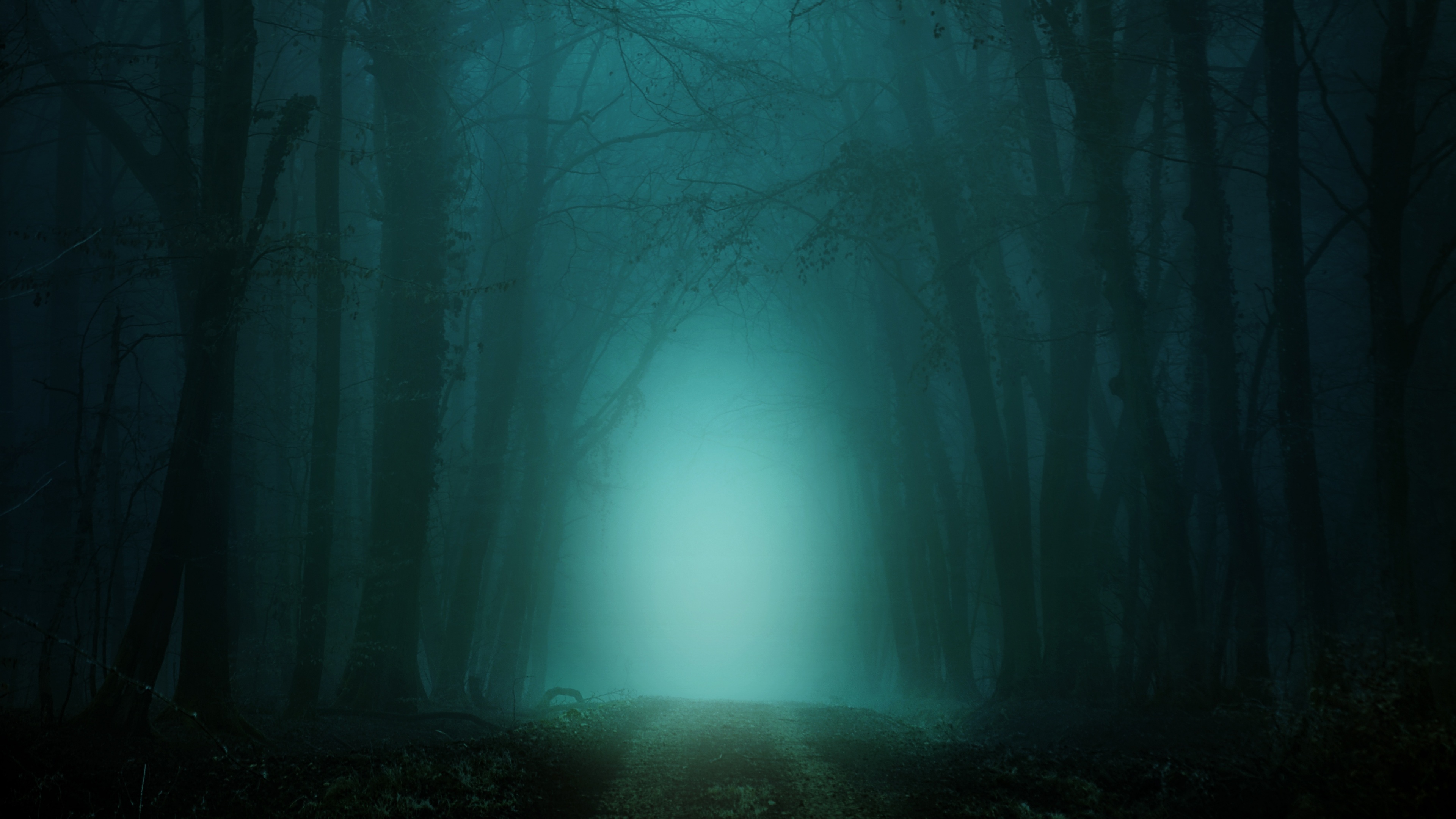 misty woodland dirt trail, dark bare tree silhouettes, eerie glowing cyan fog, 4K Desktop wallpaper