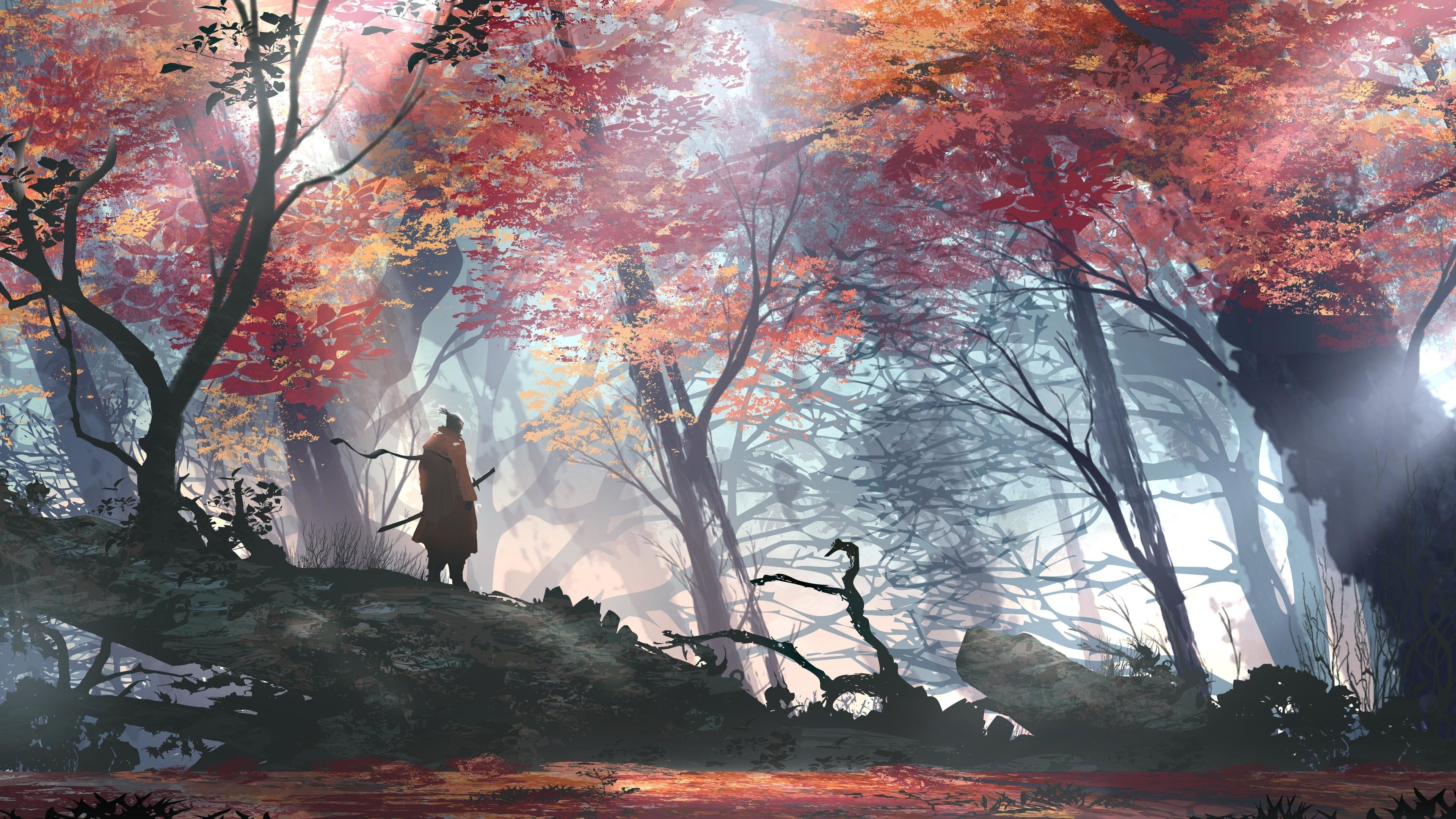 lone samurai warrior, autumn maple forest, misty sunbeams, 4K Desktop wallpaper