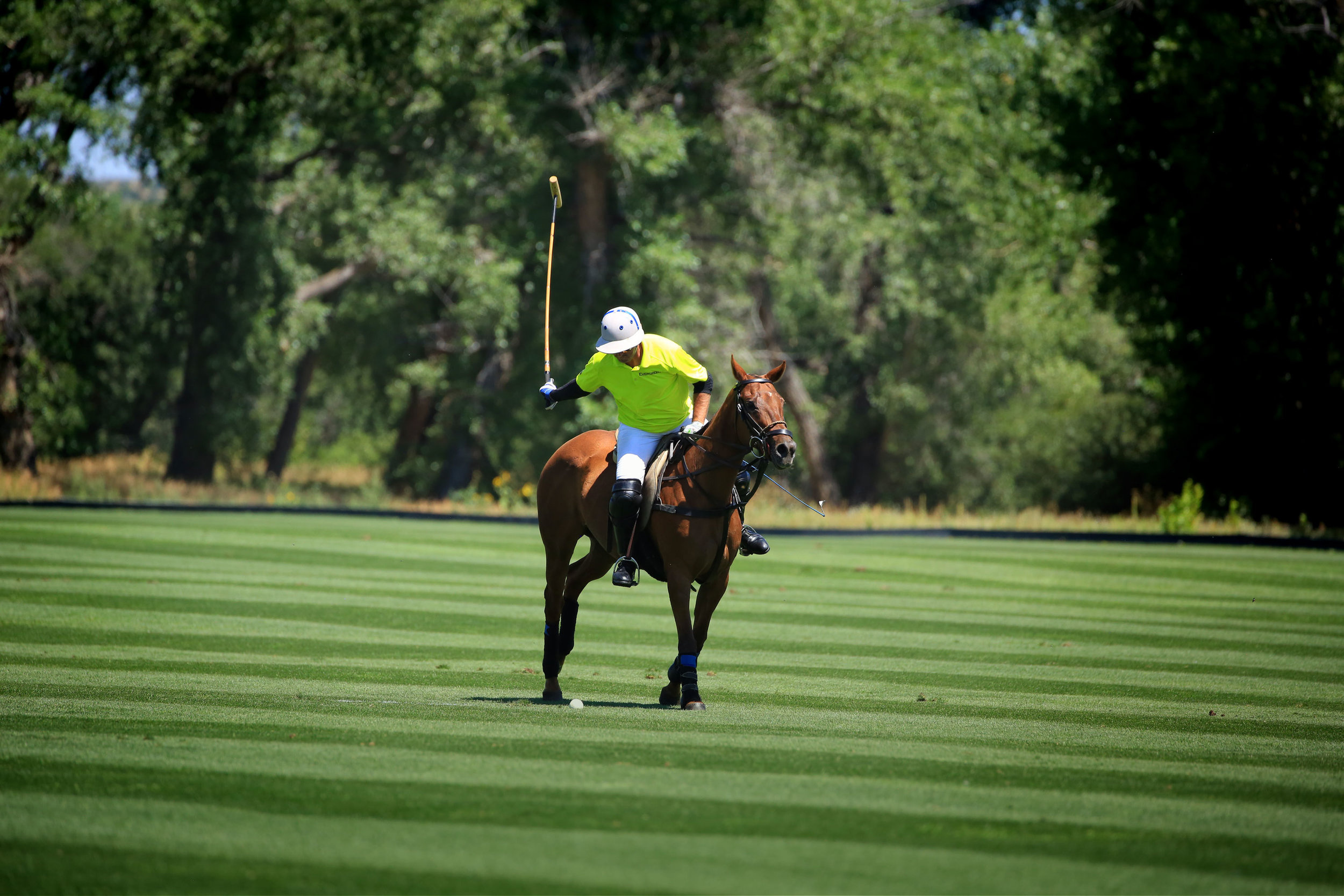 Denver Polo Club, Horse Polo Wallpaper, 2500x1670 HD Desktop
