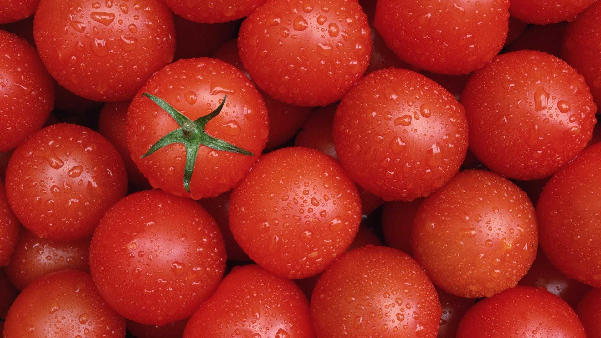 Tomato wallpaper, Beautiful design, Impressive aesthetics, Creative artwork, 1920x1080 Full HD Desktop