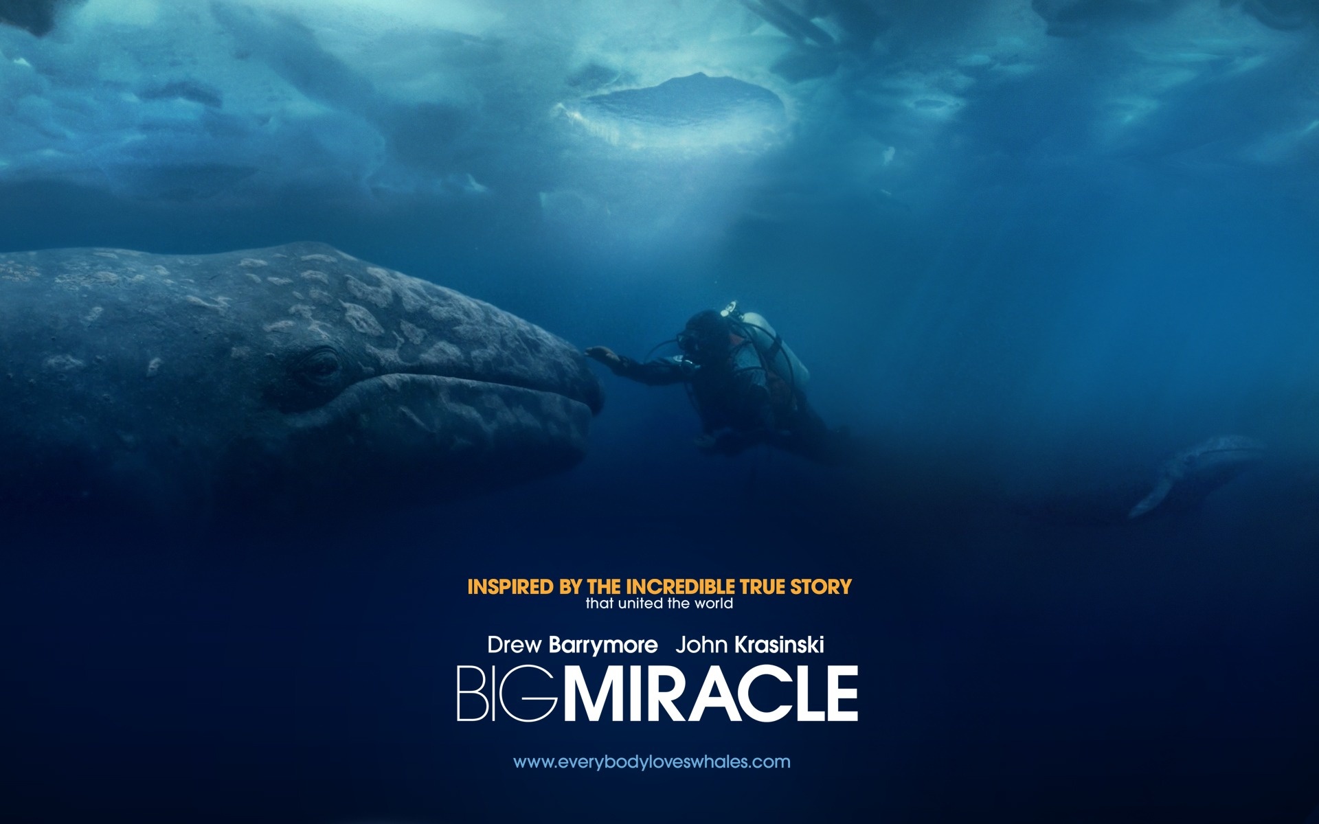 Big Miracle HD wallpaper, Beautiful imagery, Visual splendor, Memorable backdrop, 1920x1200 HD Desktop