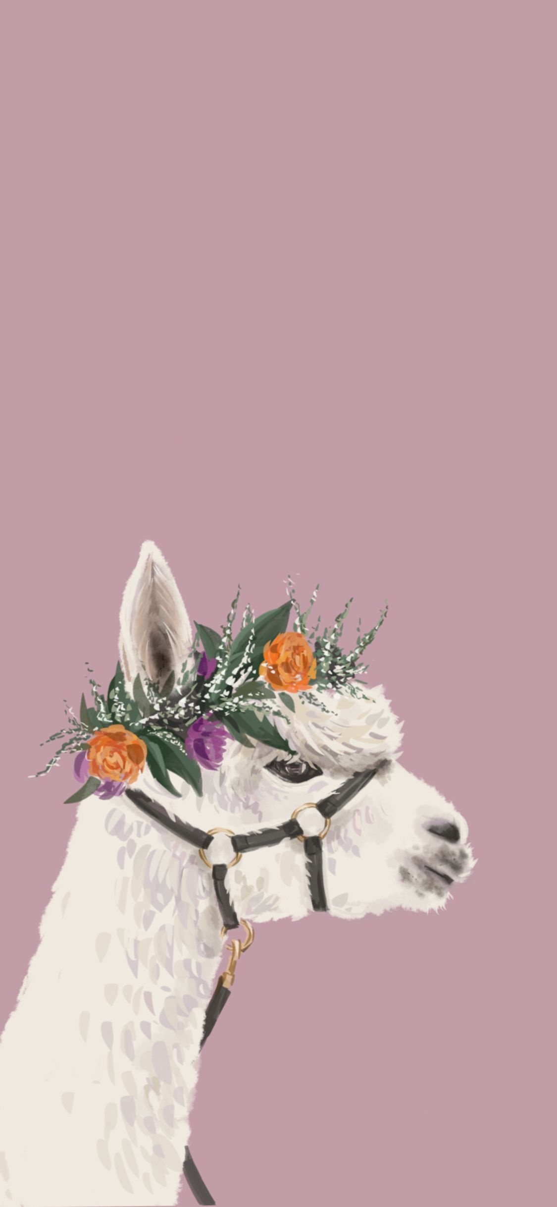 Alpaca iPhone wallpaper, Boho llama aesthetics, Cute iPhone wallpapers, Chic llama art, 1130x2440 HD Phone