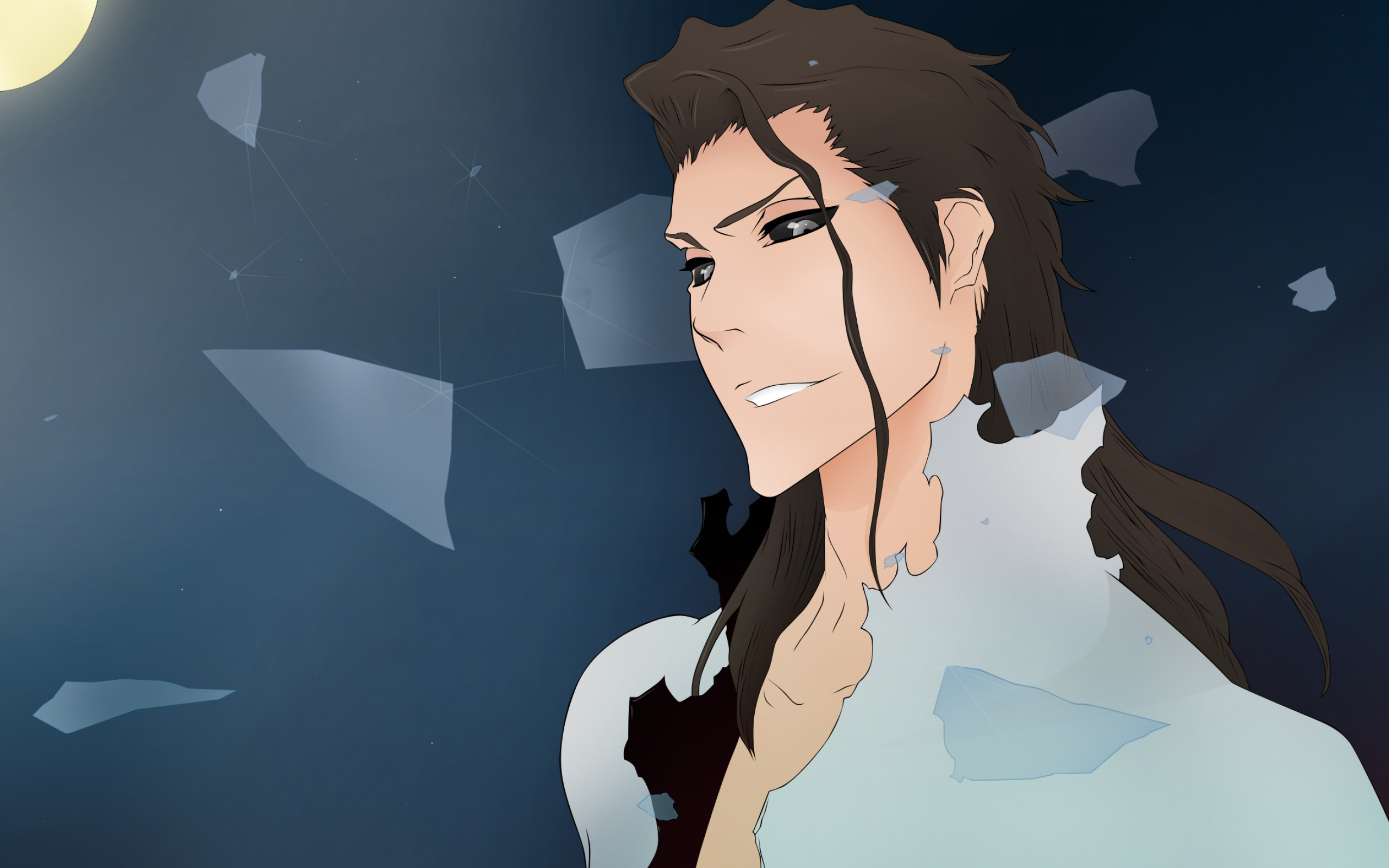 Sosuke Aizen, Bleach anime, shattered glass shards, HD Desktop wallpaper