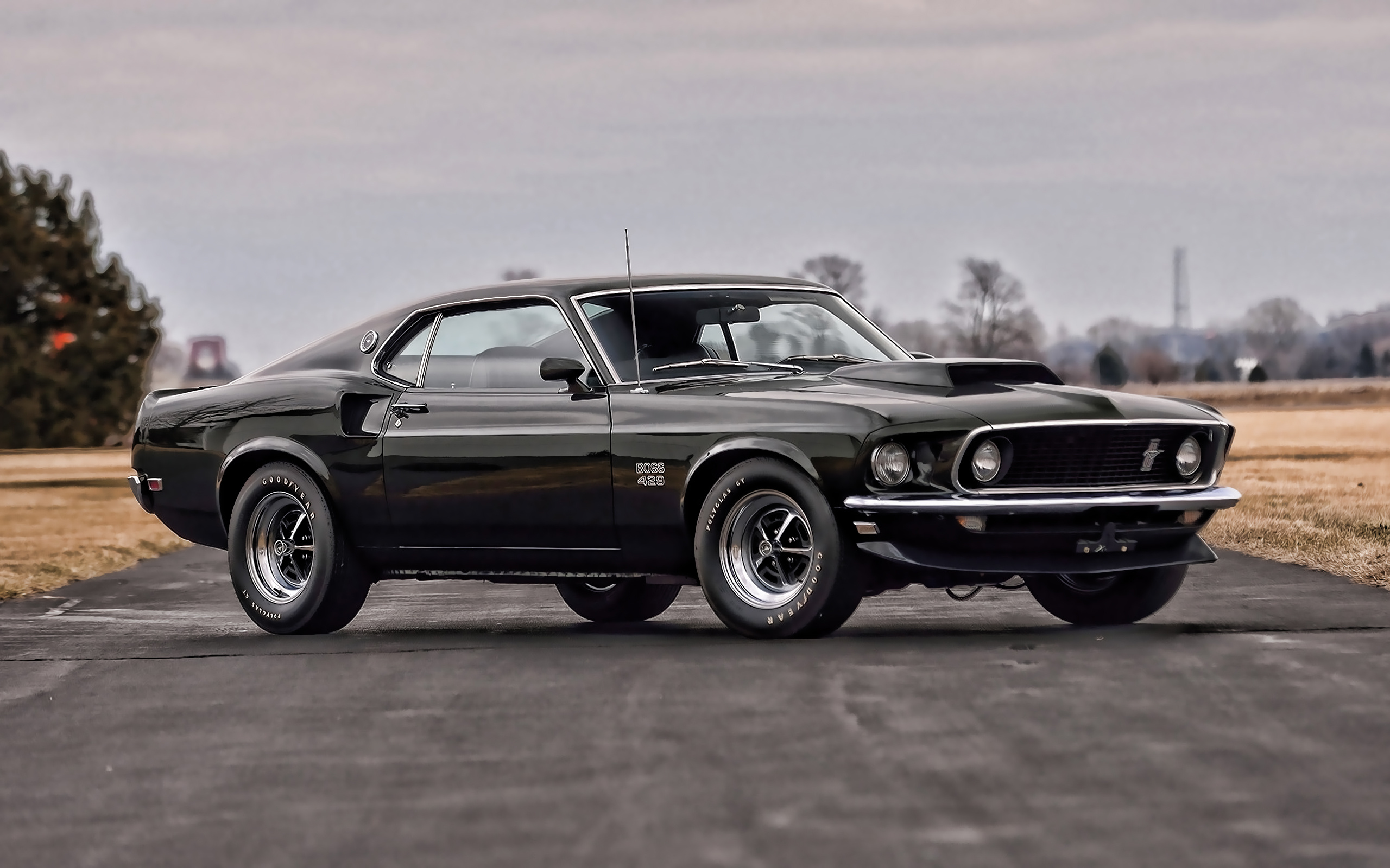 1969 Ford Mustang Boss 429, Goodyear Polyglas GT tires, Open asphalt road, HD Desktop wallpaper