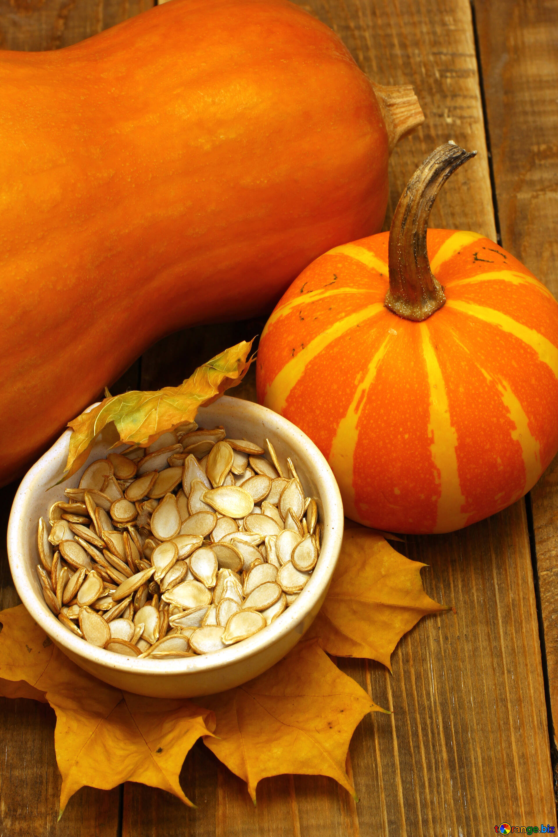 Pumpkin seed image, Useful, Creative Commons, High-quality, 1920x2880 HD Phone