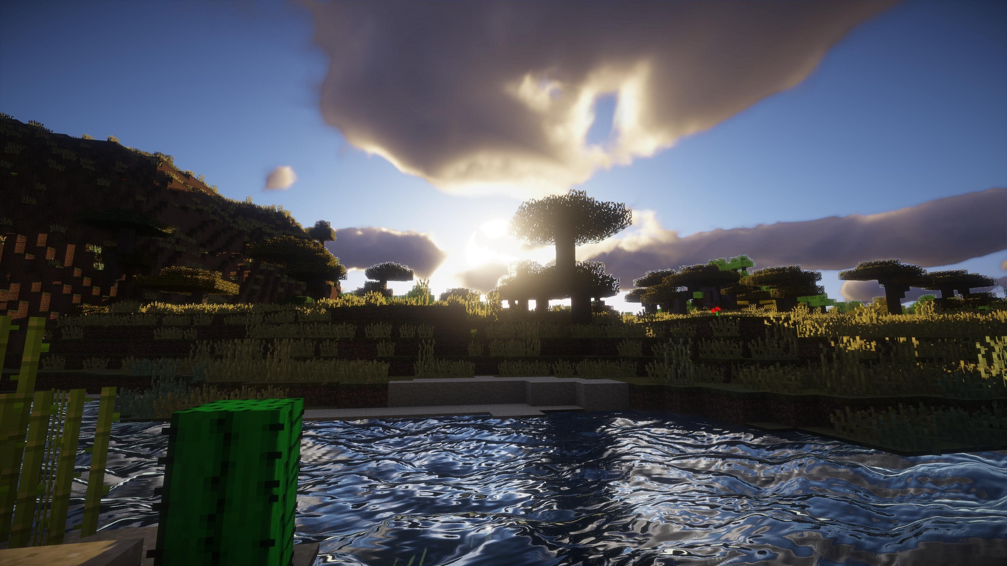 Minecraft savanna biome, Minecraft acacia tree, Minecraft cactus block, 4K Desktop wallpaper