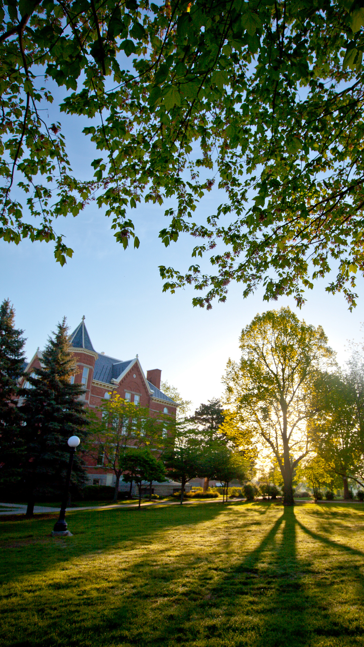 St. Norbert College, Downloadable wallpapers, College wallpapers, Norbert college, 1250x2210 HD Phone