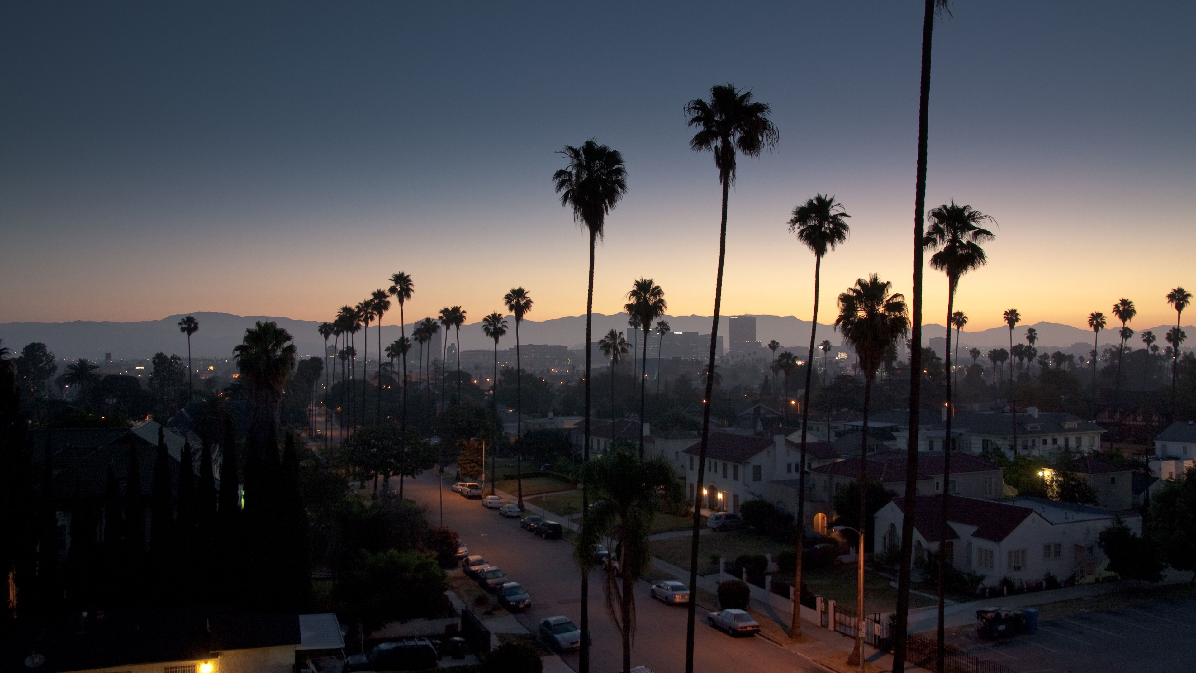 Palm tree paradise, 4K wallpaper, Sunrise over Los Angeles, Beach ambiance, 3840x2160 4K Desktop