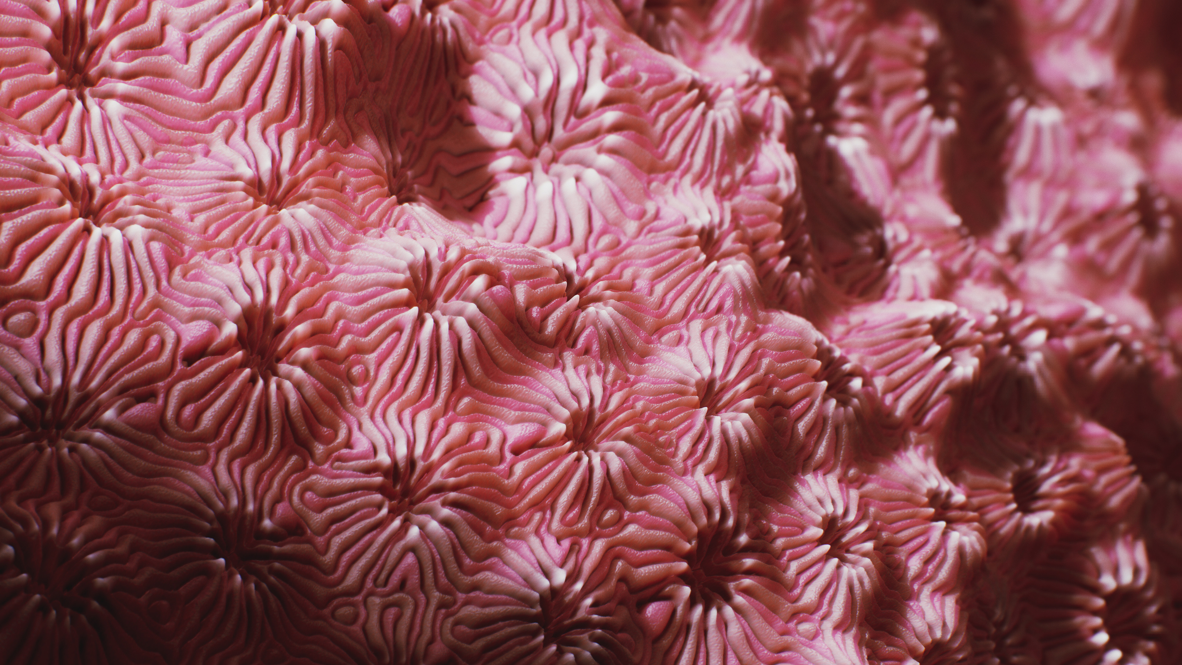 Coral pavona artwork, Substance source inspiration, Creative expression, Coral-inspired designs, 3840x2160 4K Desktop