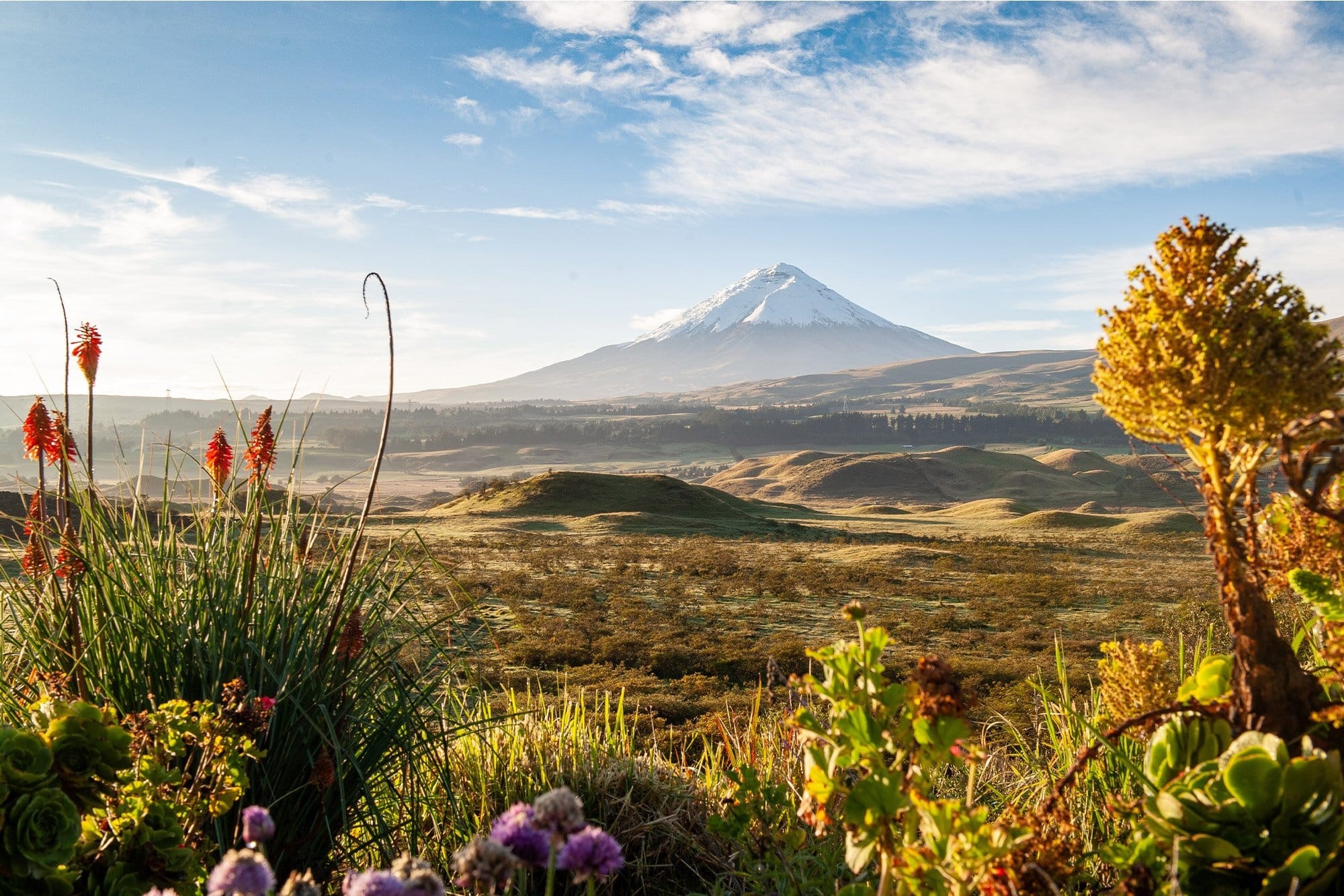 Cotopaxi, Travels, National park, Quito, 2000x1340 HD Desktop