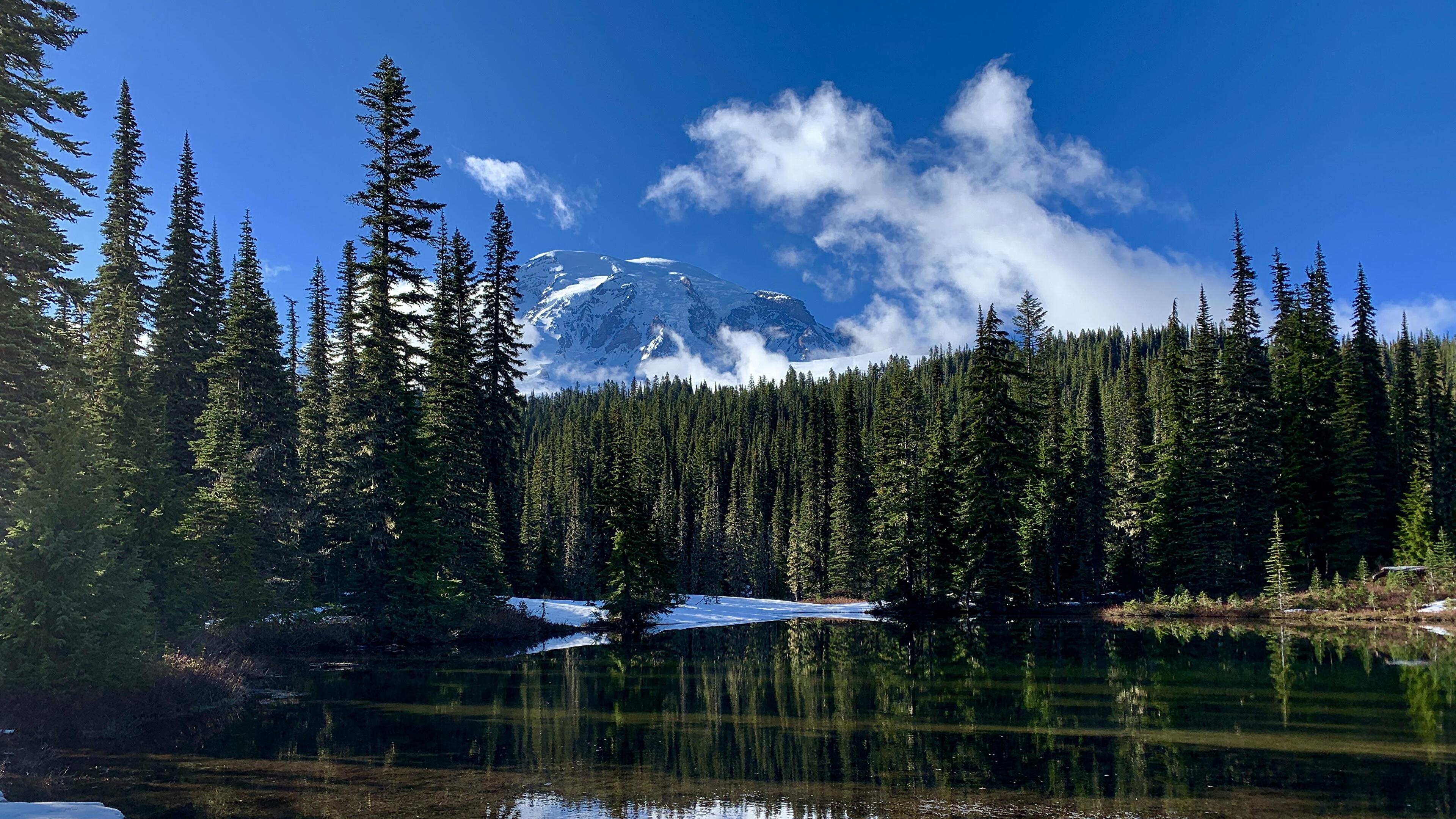 Lake and forest, 4K wallpaper, 3840x2160 4K Desktop