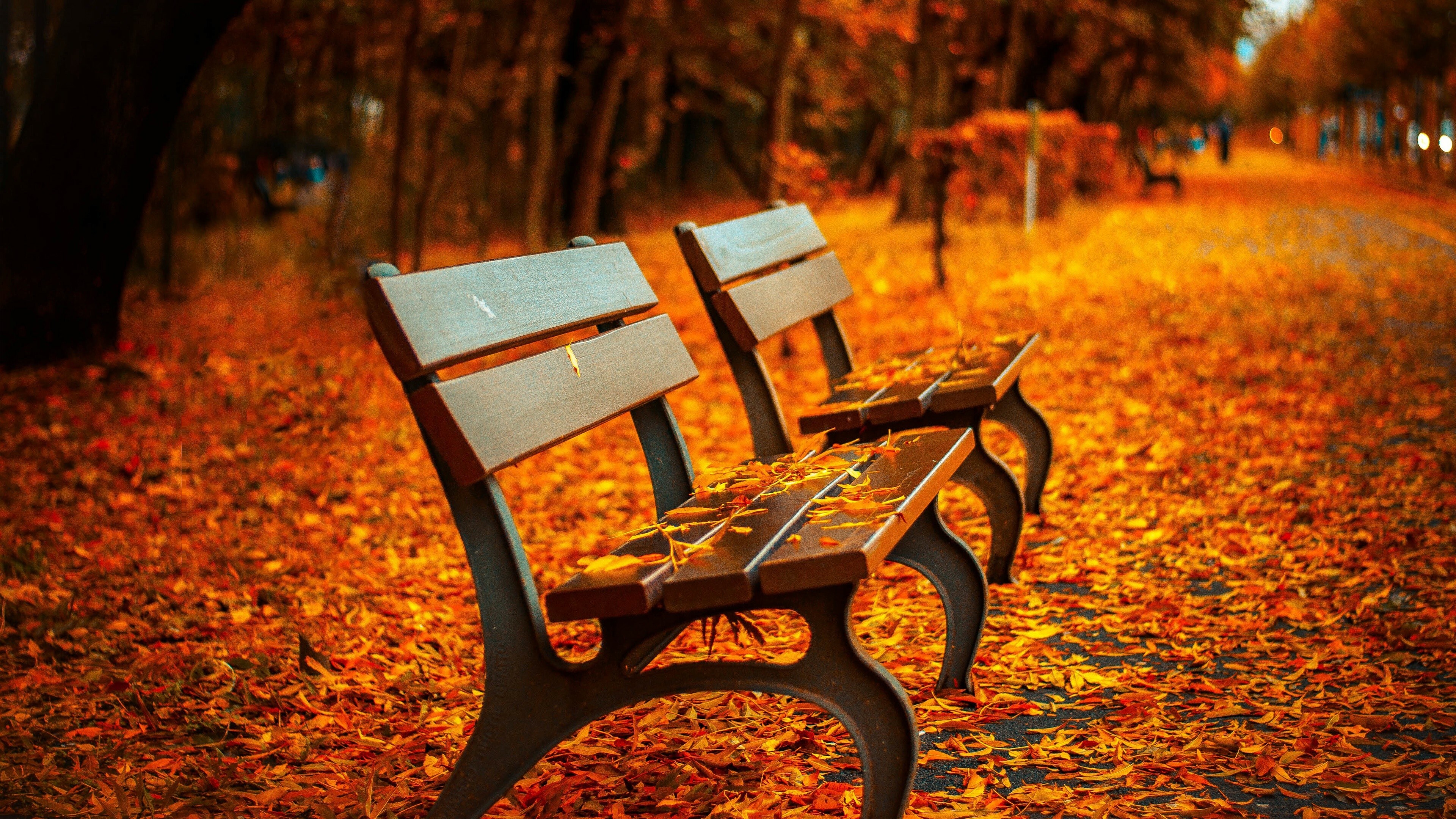 Park bench, Autumn Wallpaper, 3840x2160 4K Desktop