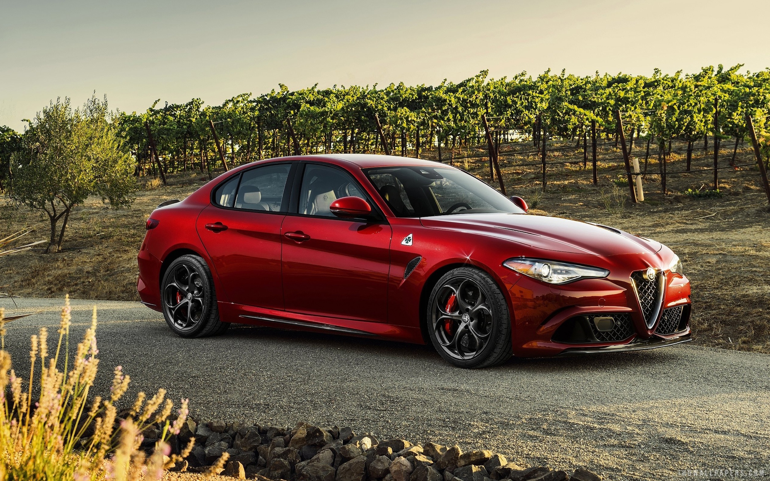 Alfa Romeo Giulia, 2016 wallpaper, cars, 2560x1600 HD Desktop