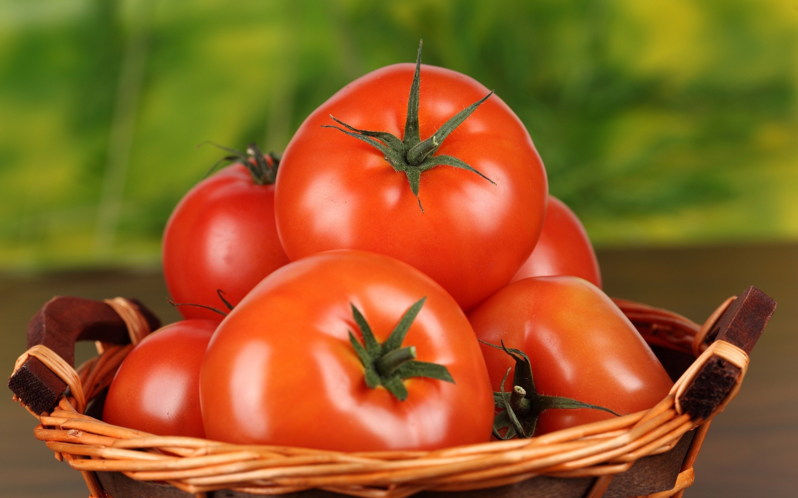 Tomato HD wallpaper, Stunning visuals, High resolution, Digital design, 2560x1600 HD Desktop