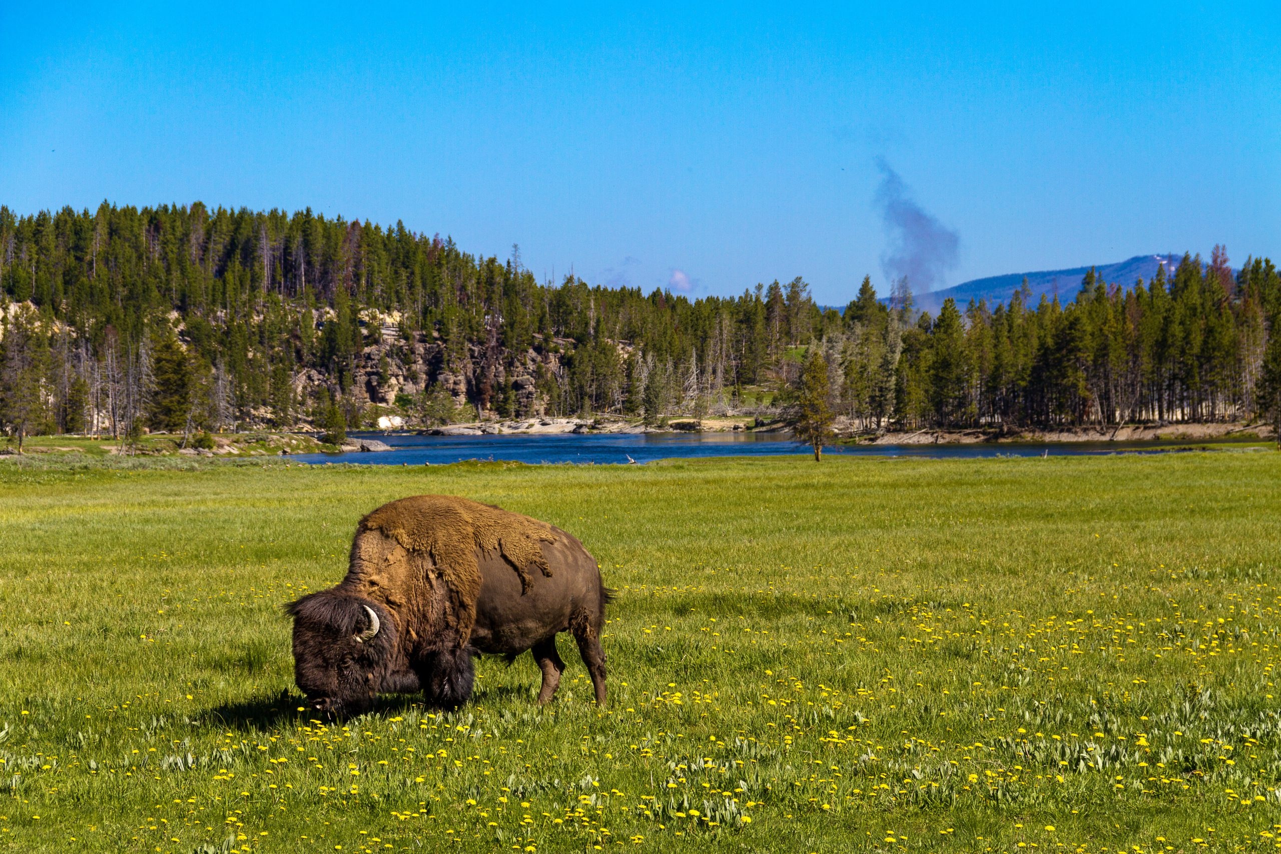 Yellowstone National Park, Native America Calling, National Park, 2560x1710 HD Desktop