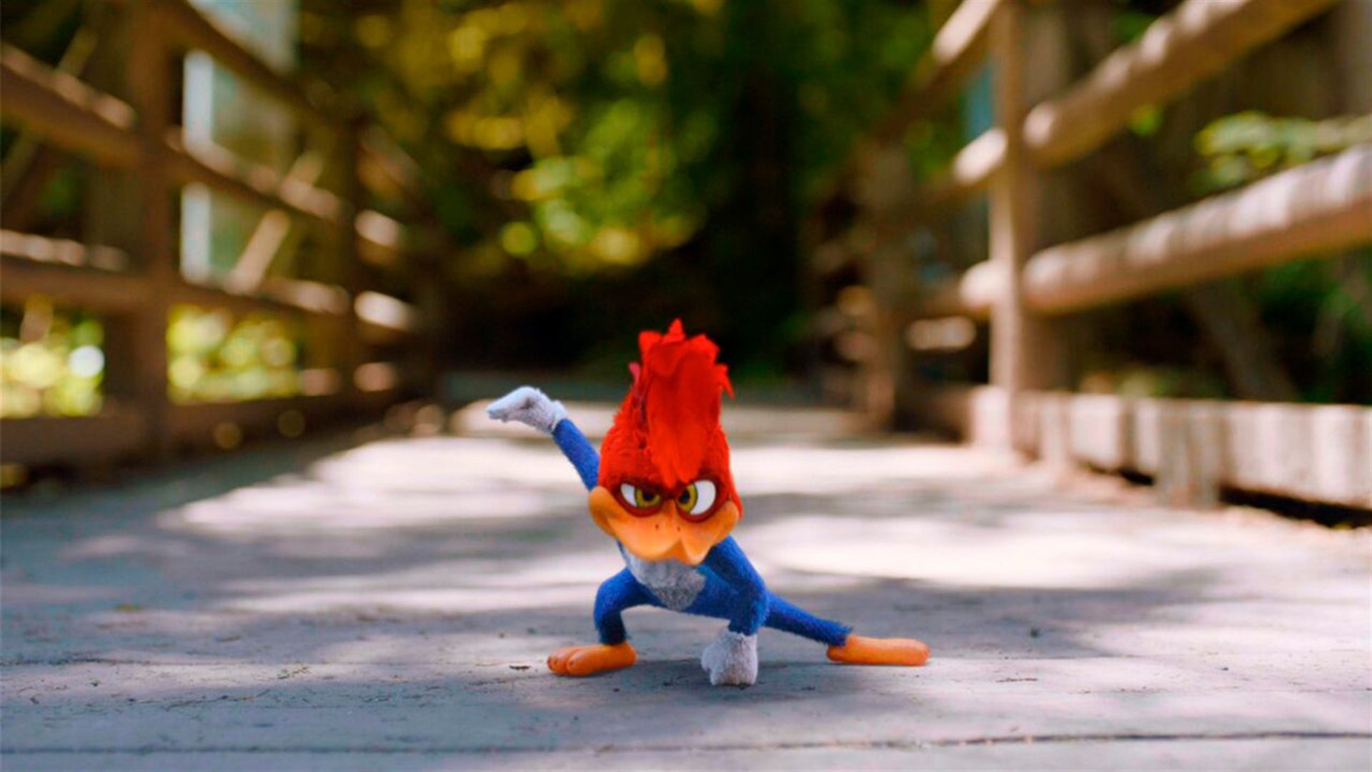 Woody Woodpecker, Funny cartoon, Colorful illustration, Animated character, 1920x1080 Full HD Desktop