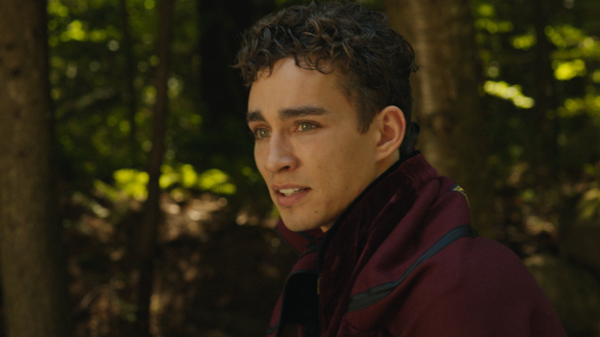 Robert Sheehan, Movies, Song of Sway Lake, Ari Gold, 1920x1080 Full HD Desktop