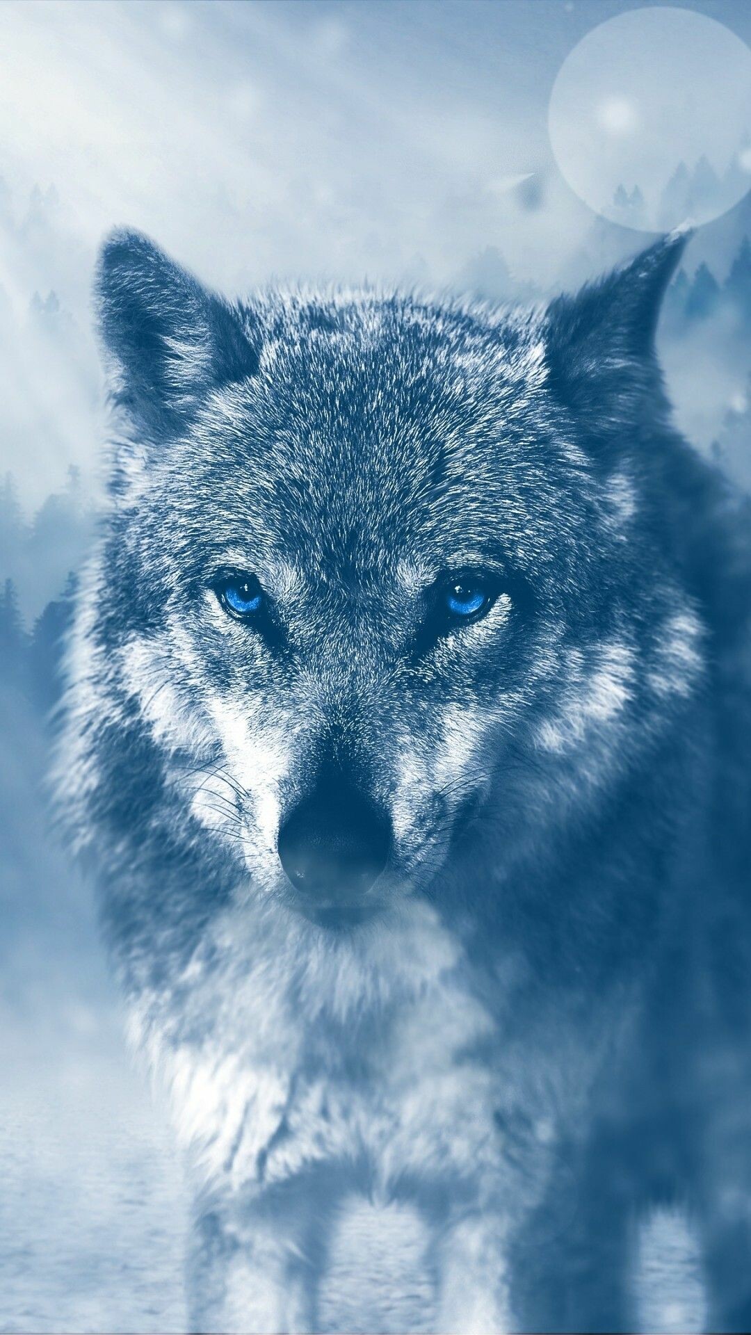 Wolf with blue eyes, Hypnotic gaze, Enchanting charm, Ethereal beauty, 1080x1920 Full HD Phone