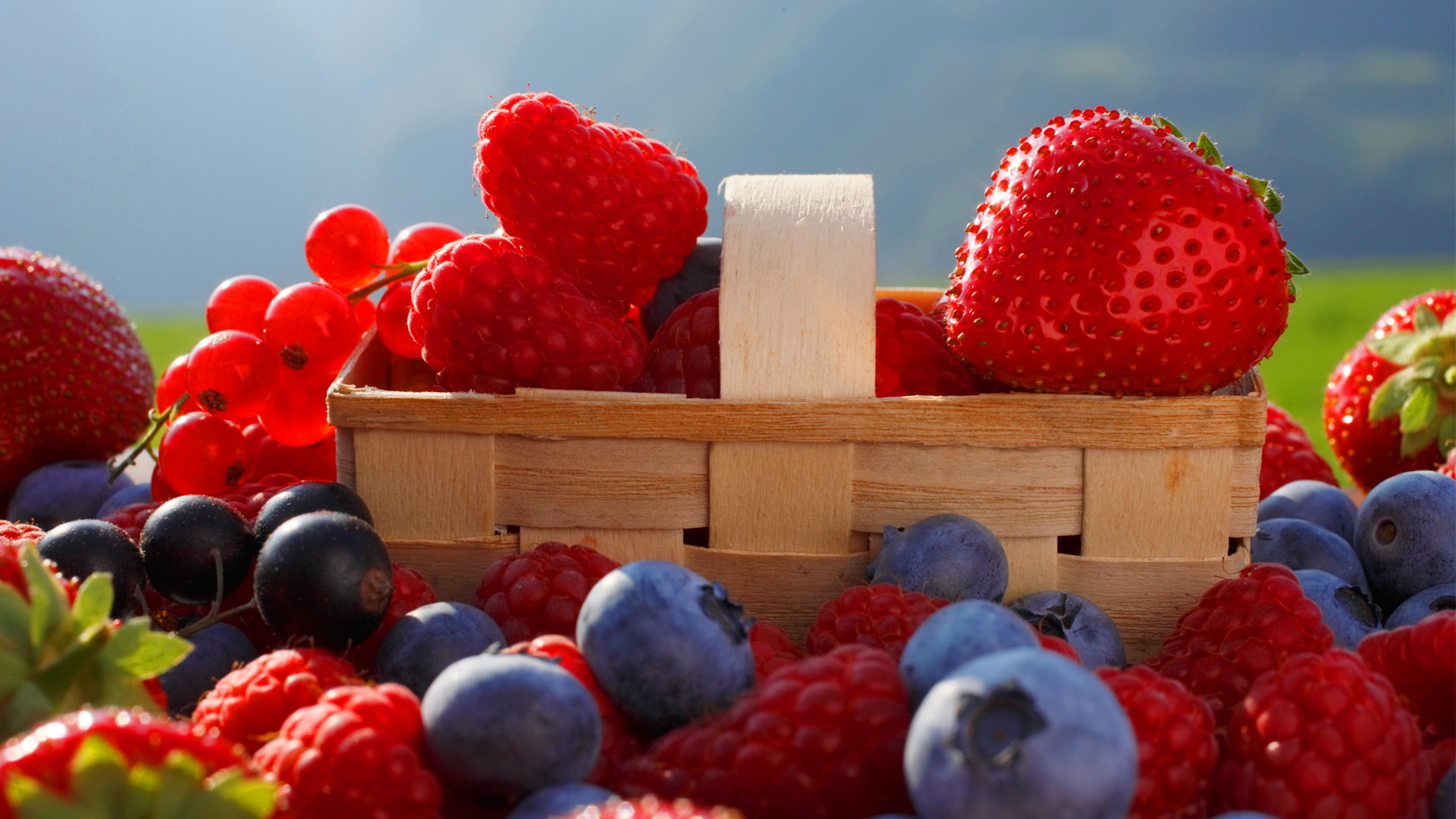 Berries HD wallpaper, Background image, 1920x1080 Full HD Desktop