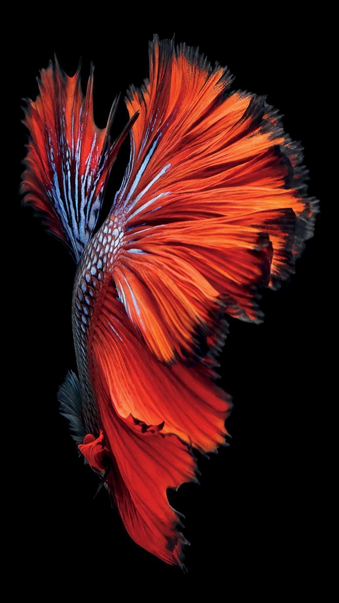 Inspiring wallpaper ideas, Stunning iPhone wallpapers, Creative calendar wallpapers, Personalized wallpaper, 1080x1930 HD Phone