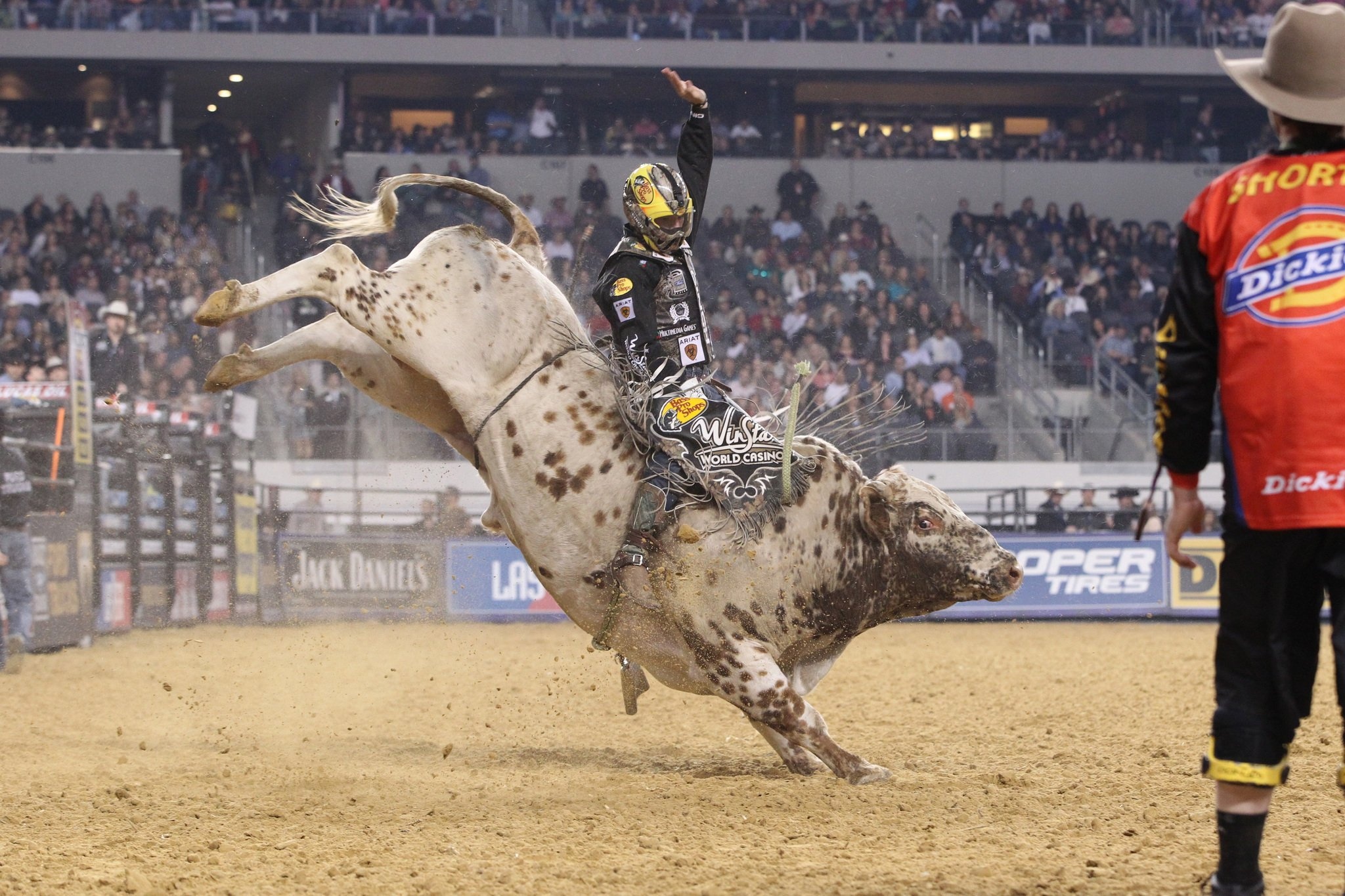 Rodeo bull image, Fierce rodeo display, Thrilling bull taming, Crowd's cheers, 2050x1370 HD Desktop